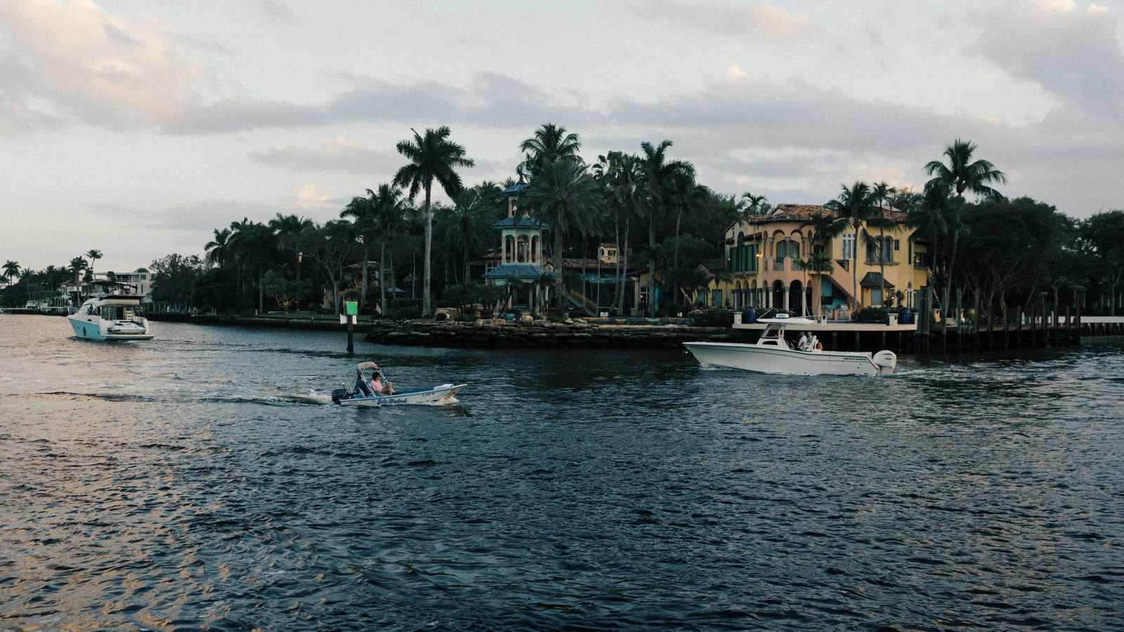 A waterfront scene with boats and palm trees on the coast.