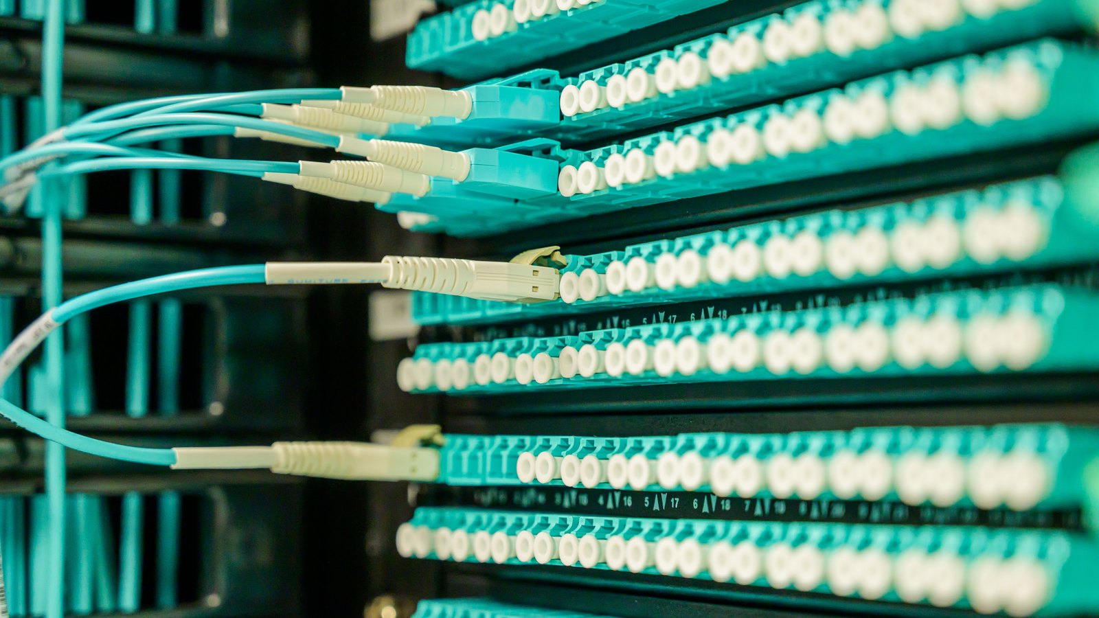 A photograph illustrating fiber optic patch panel.