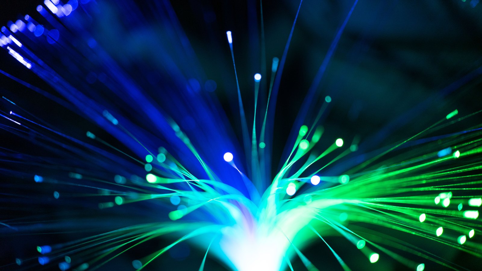 A photograph illustrating glowing fiber optic strands.