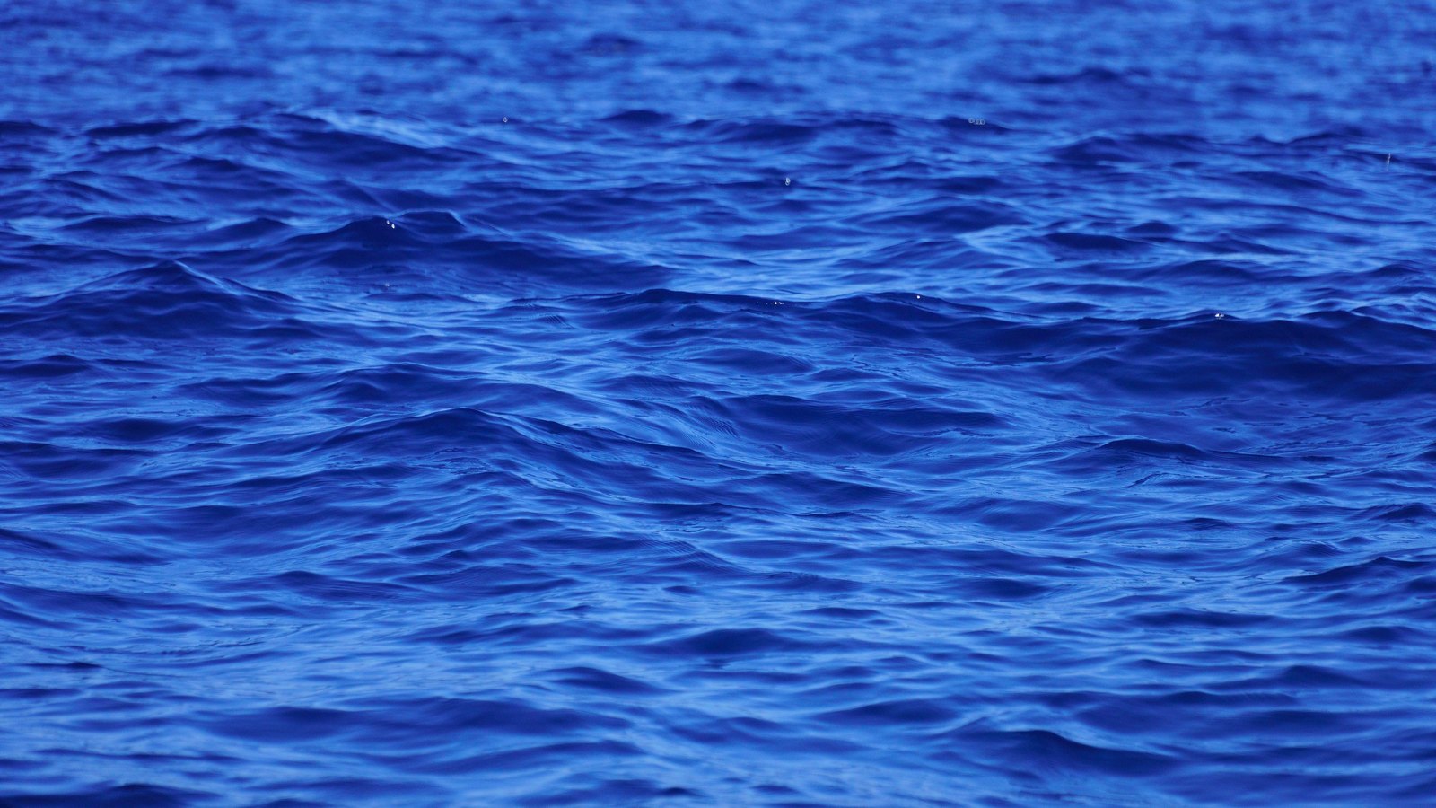 Deep blue open ocean surface covered in small rippling waves, with no land, vessel or horizon in the frame.