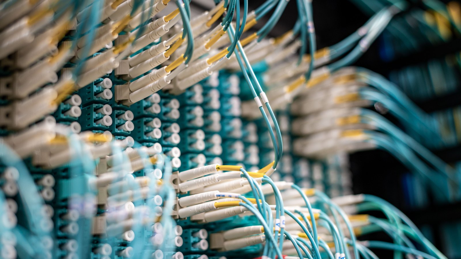 Fibre optic and network cables plugged into a switch in a data centre, seen from below. A generic illustration of computing and networks, not a photograph of any specific system.