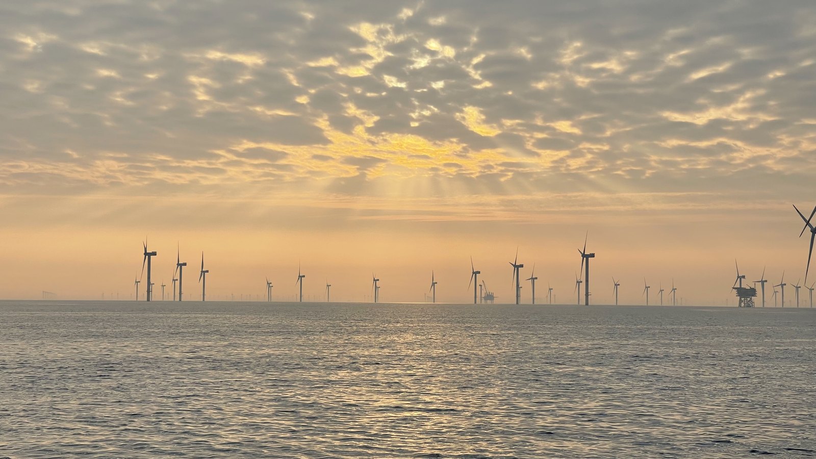 Offshore wind turbines spread across the North Sea under a clouded sky.