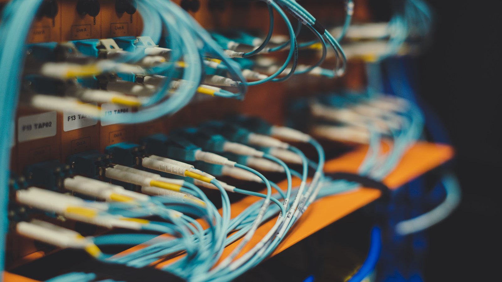 Aqua fibre optic patch cords plugged into a rack panel, the connectors sharp in the foreground and the run of cable falling away out of focus.
