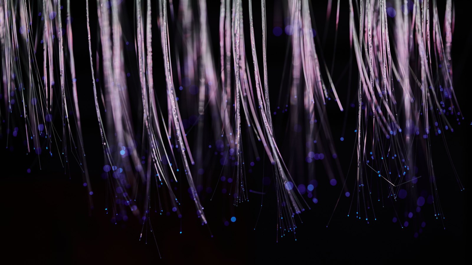 A photograph illustrating fiber optic strands macro.