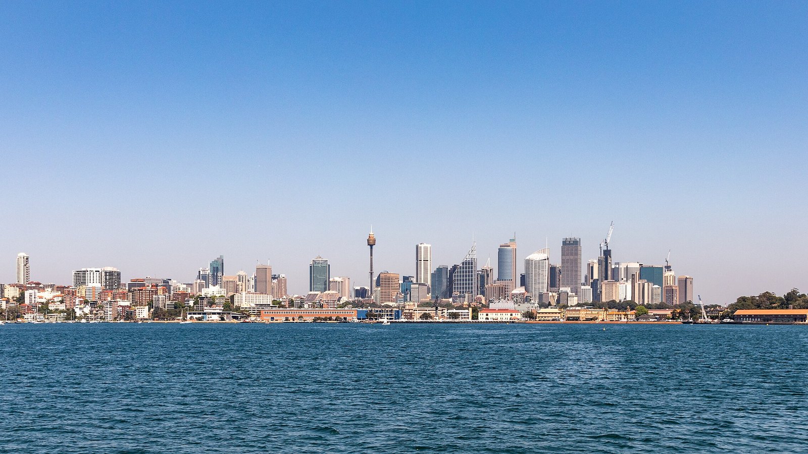 The Sydney city skyline seen from across the harbour on a clear day, office towers and Sydney Tower rising behind low waterfront buildings, with open blue water filling the foreground. No legible signs or people are in view.