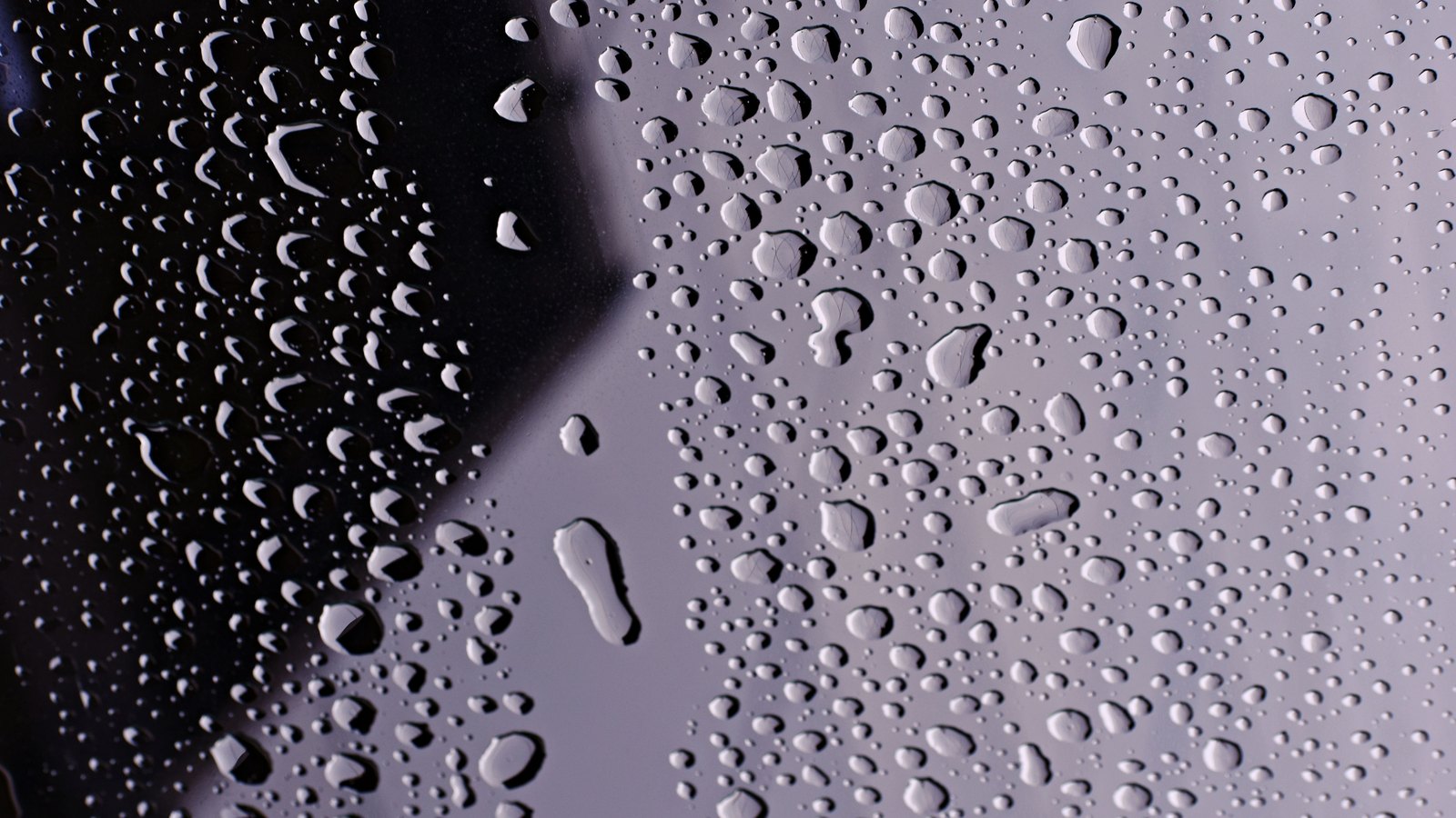 A close photograph of water droplets covering a pane of glass, the beads catching the light as pale shapes against a black band down the left of the frame and a smooth grey field across the rest of it.
