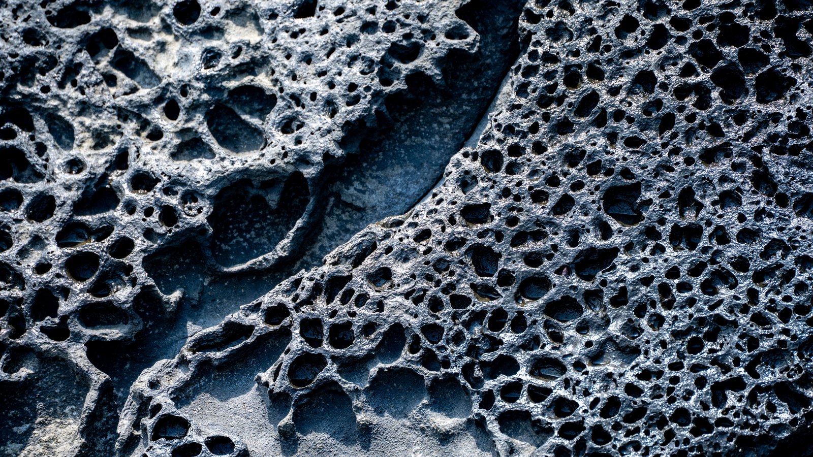 A photograph illustrating porous pale grey volcanic rock surface pattern filling the entire frame macro.