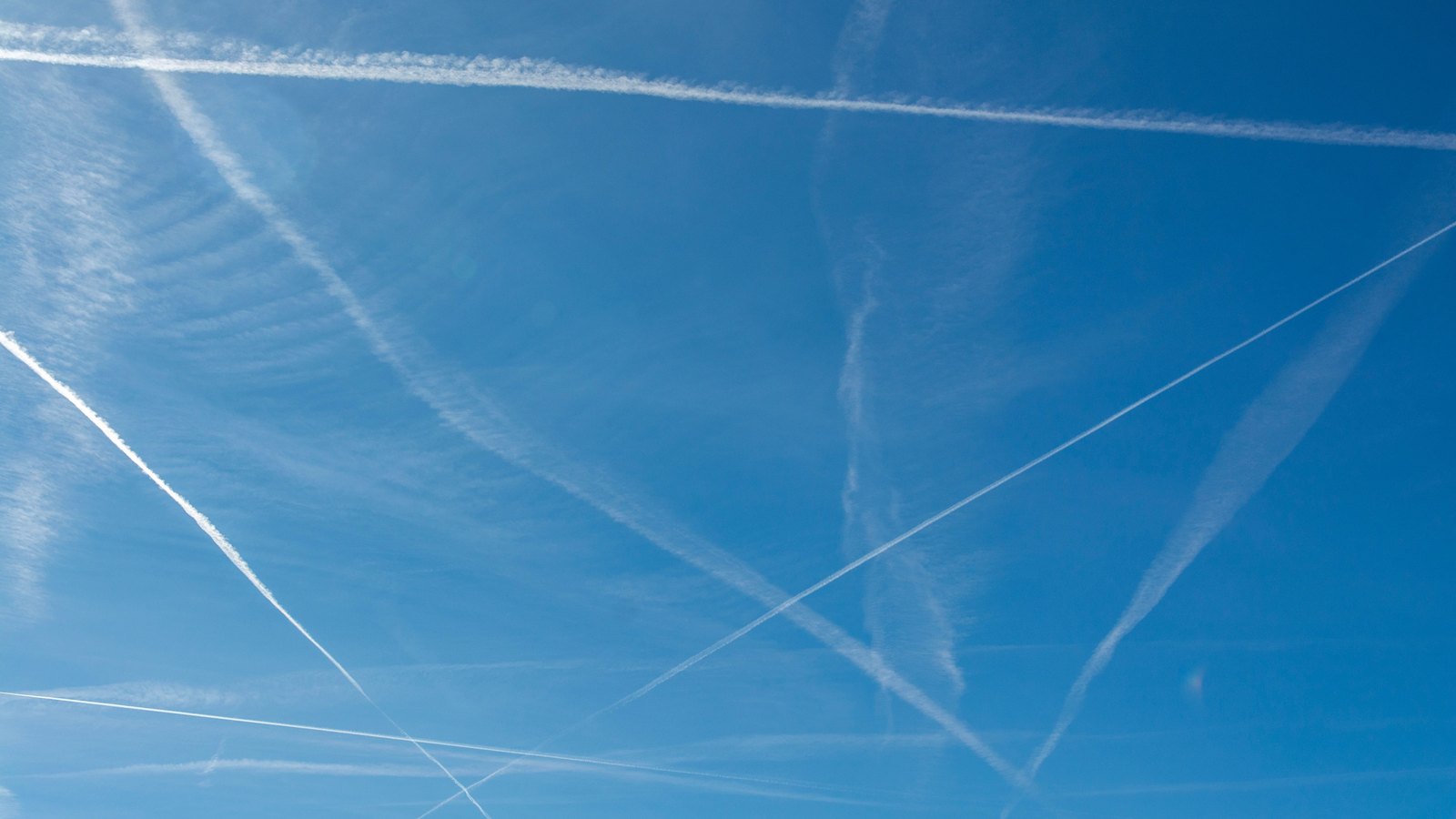 A clear blue sky crossed by many long white aircraft condensation trails at different angles, some sharp and some spread into haze. No aircraft, horizon, landscape, text or brand mark is in view.