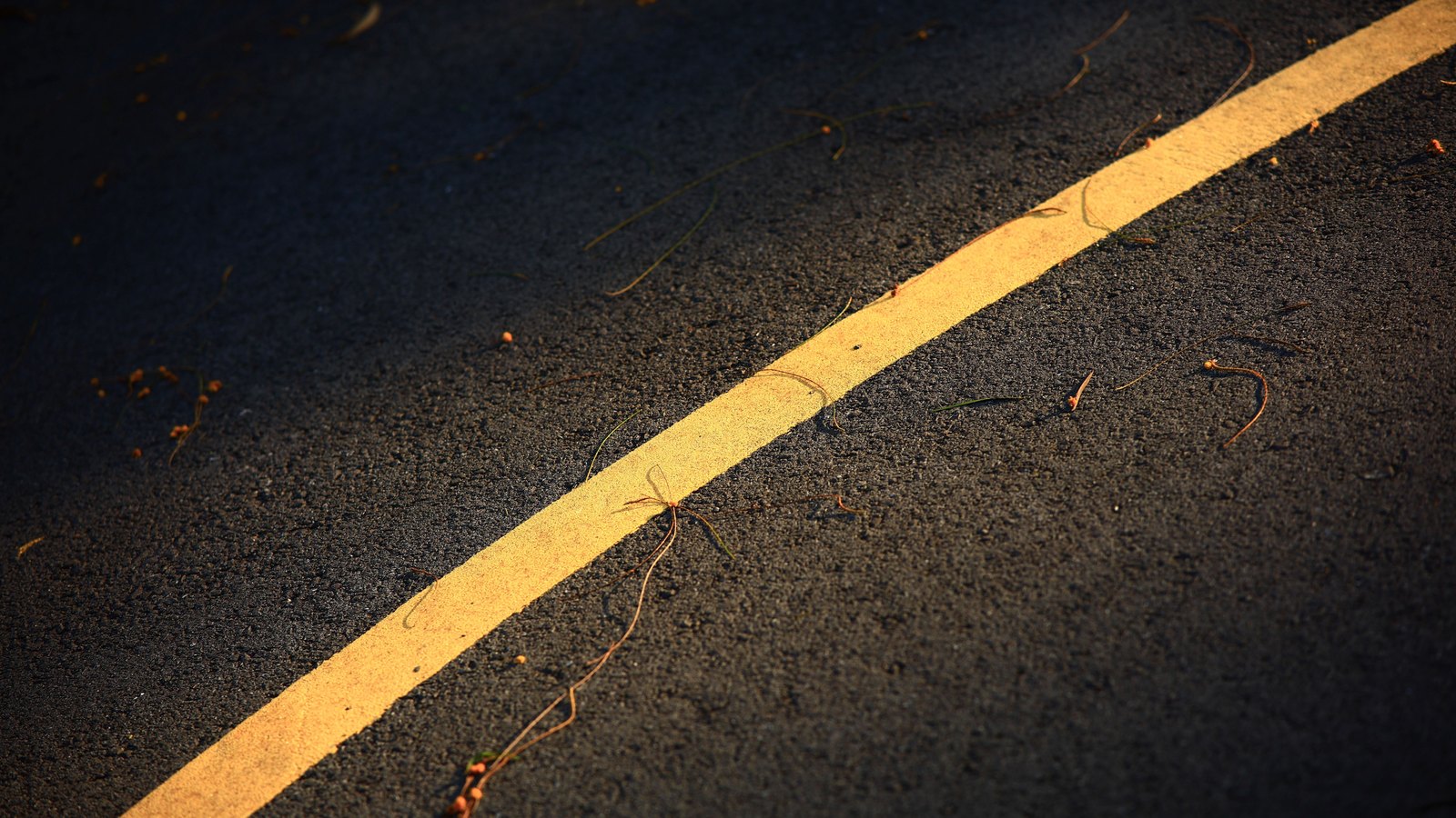 A close crop of dark grey asphalt in low warm light, crossed corner to corner by a single yellow painted road line, with a few dry twigs and specks of grit scattered across the surface. There is no text, signage, lettering, brand mark, person, vehicle, building or landmark anywhere in the frame, and nothing in it identifies any place. This is a plain road surface used as a neutral illustration rather than a picture of anything in this story: it is not a photograph of Black Eagle Lane, of the scene, of any police activity or of anywhere in Fort Myers. Its weakness is stated rather than glossed. A painted centre line belongs to a through road and Black Eagle Lane is a residential street inside a golf community, and the Pexels library records the frame as having been taken in Fujian, though nothing visible in it says so.