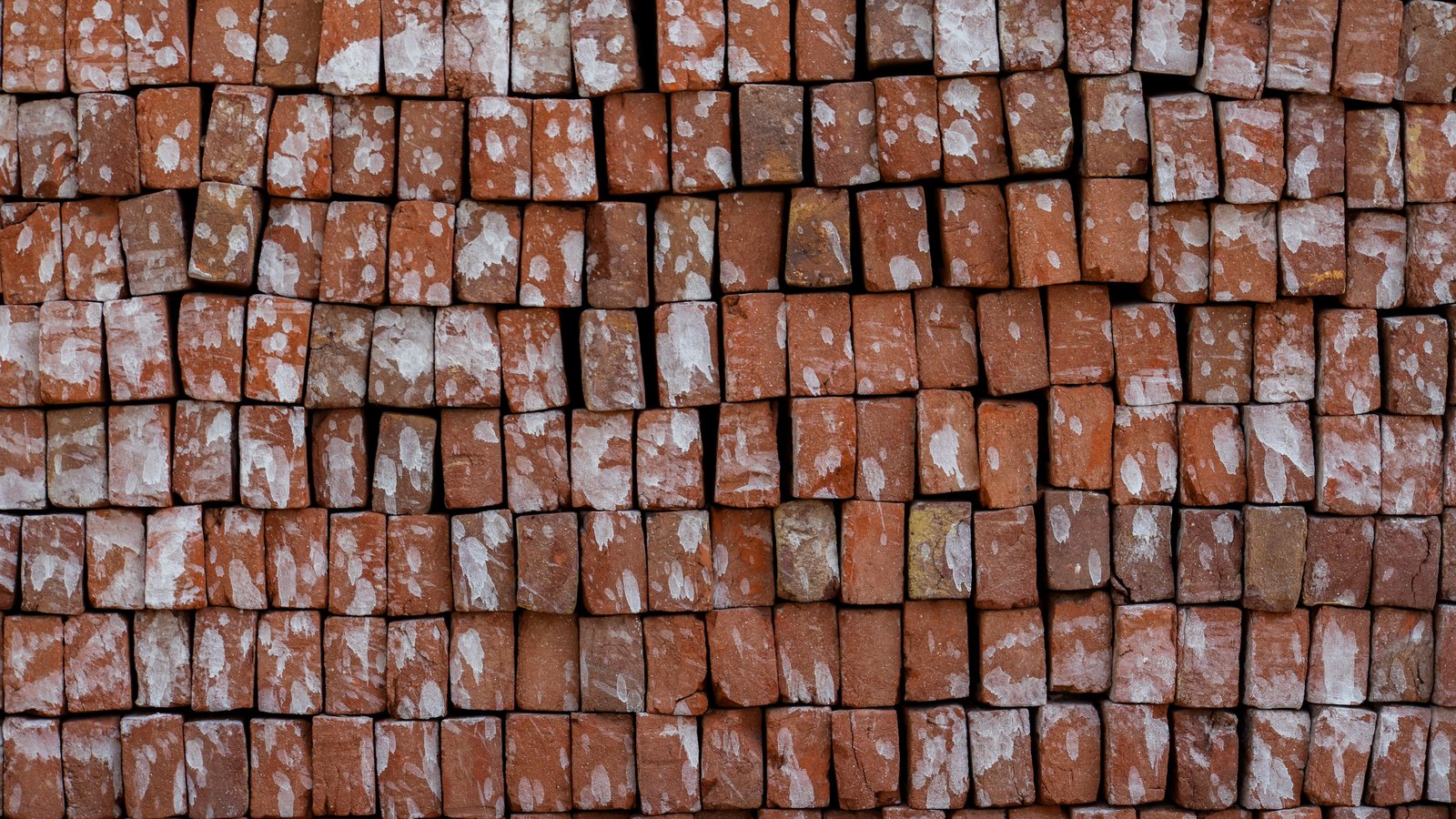 A close photograph of red fired clay bricks stacked in tight rows and filling the frame, their end faces blotched with pale grey and white lime marks. No people, machinery, buildings, signage, text or lettering are visible, and no place can be identified from it.