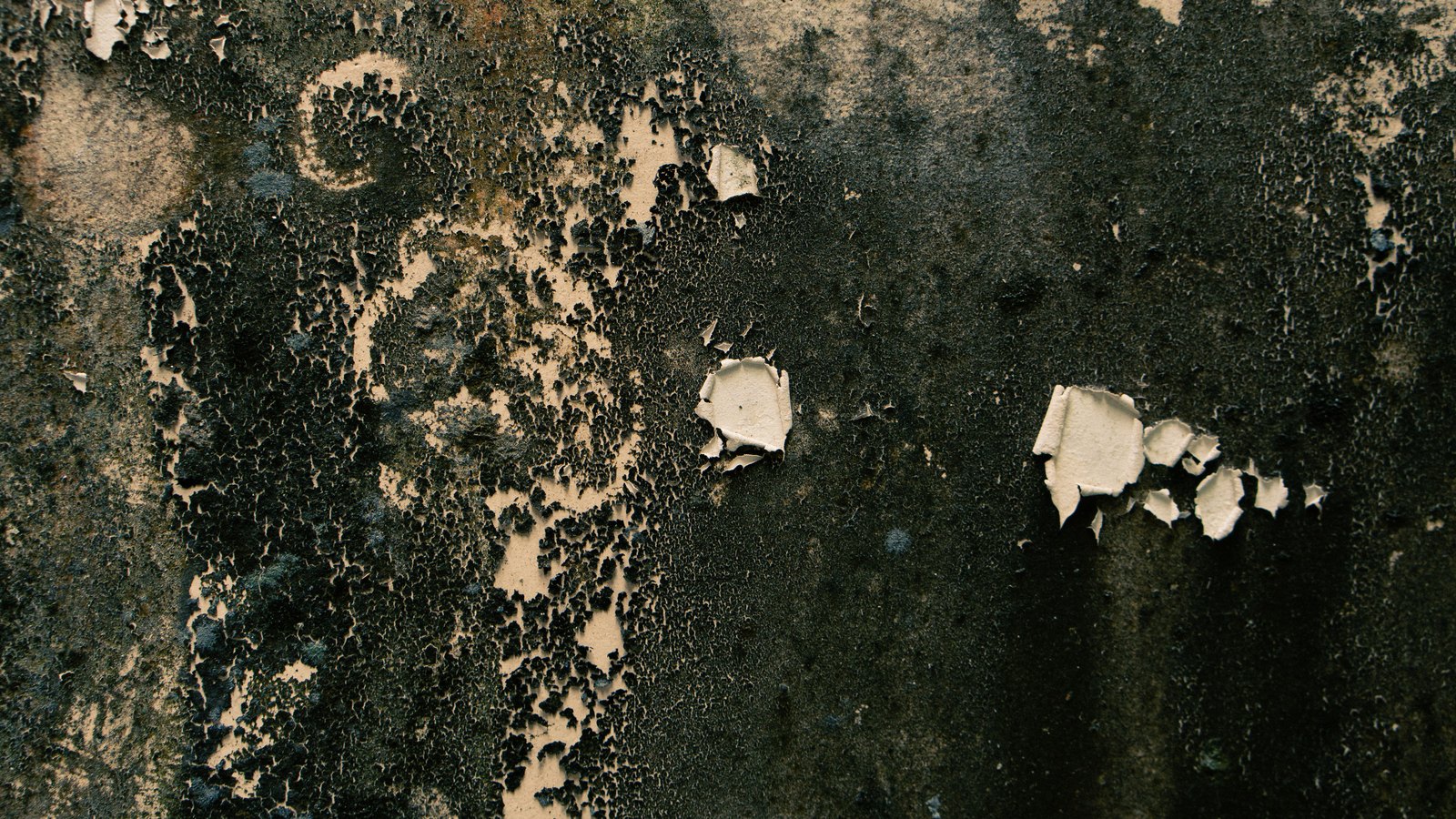 A close crop of a weathered dark wall, its pale cream paint blistered and flaking away in patches to expose the surface beneath. No road, vehicle, person, text or signage is visible. A generic texture used as an illustration, not a photograph of Bonita Beach Road or of the crash described.