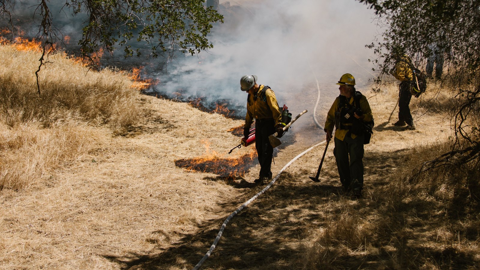 Wildland firefighters in yellow protective gear walking a charged hose line beside a low flame front burning through dry grass, with smoke drifting into trees behind them. No faces, unit numbers or agency lettering are legible. Stock photo, not a photograph of this event.