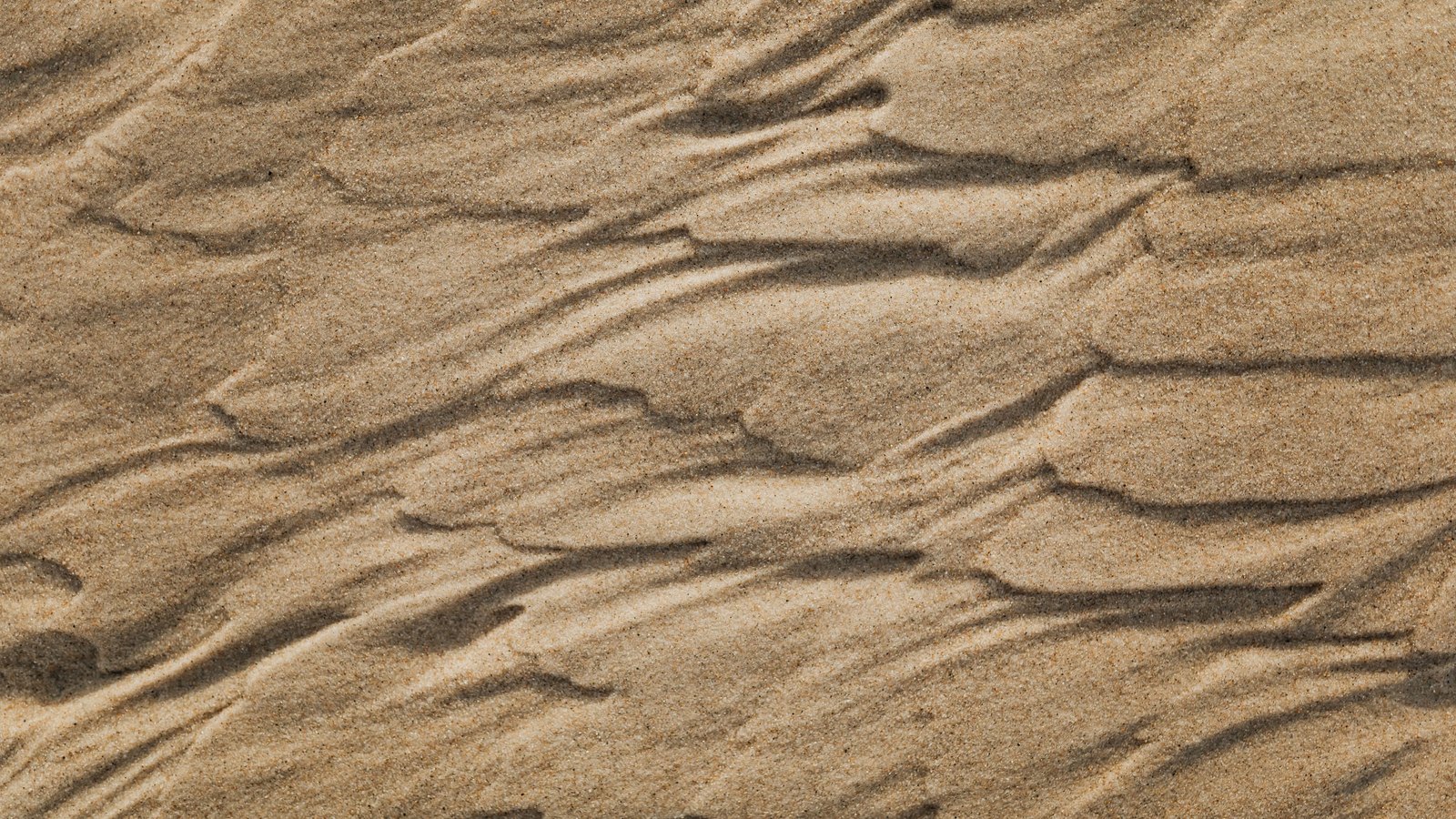 A close view of pale beach sand worked into shallow parallel ripples by moving water, with no footprints, objects or horizon in the frame.