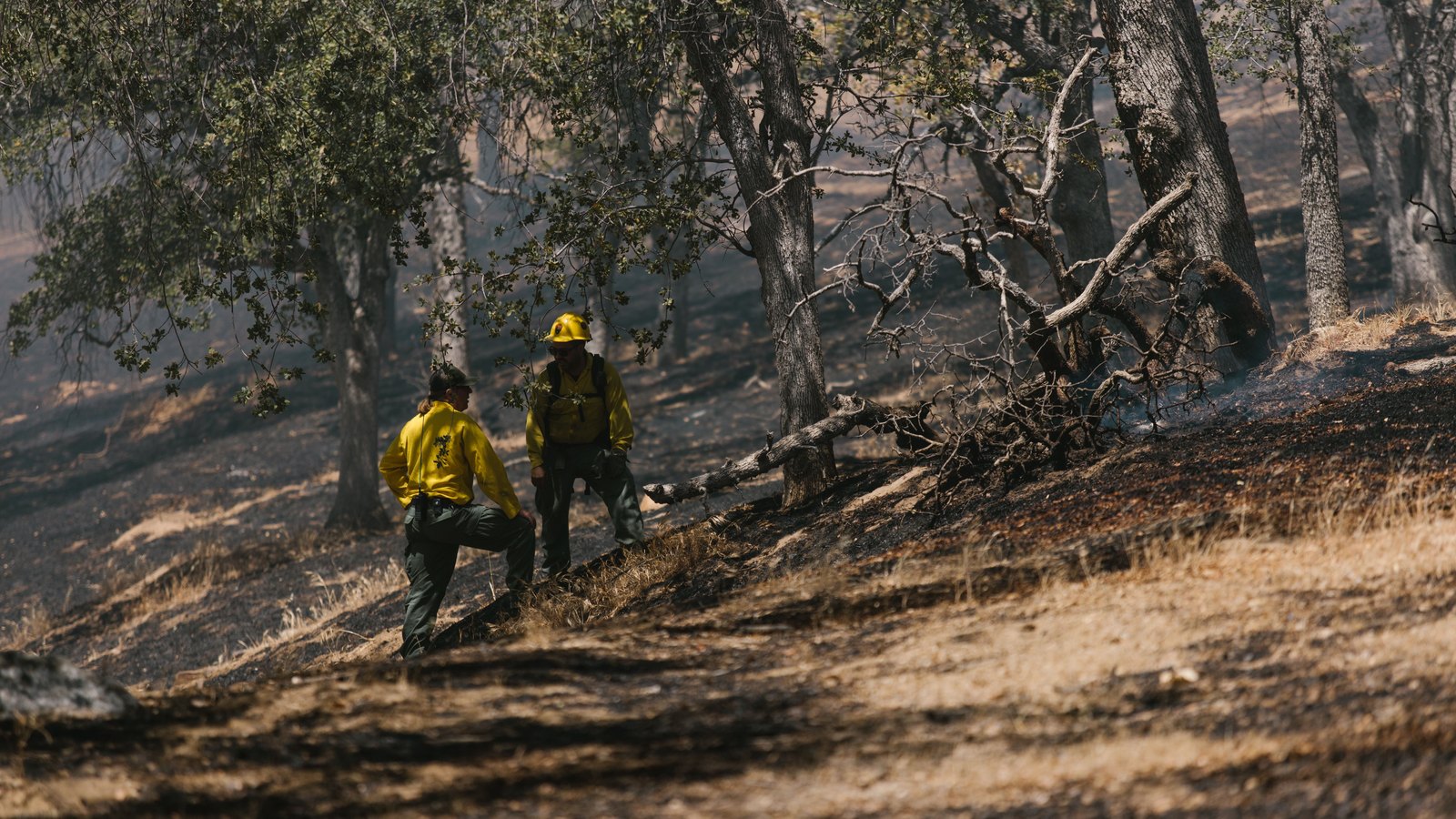 Two wildland firefighters in yellow protective shirts and green trousers walk across a blackened, still smoking hillside among scorched trees, one of them wearing a yellow helmet. Neither face is turned to the camera, and no vehicle, building, unit number, signage or lettering of any kind appears in the frame. Stock photograph, not a photograph of this event.