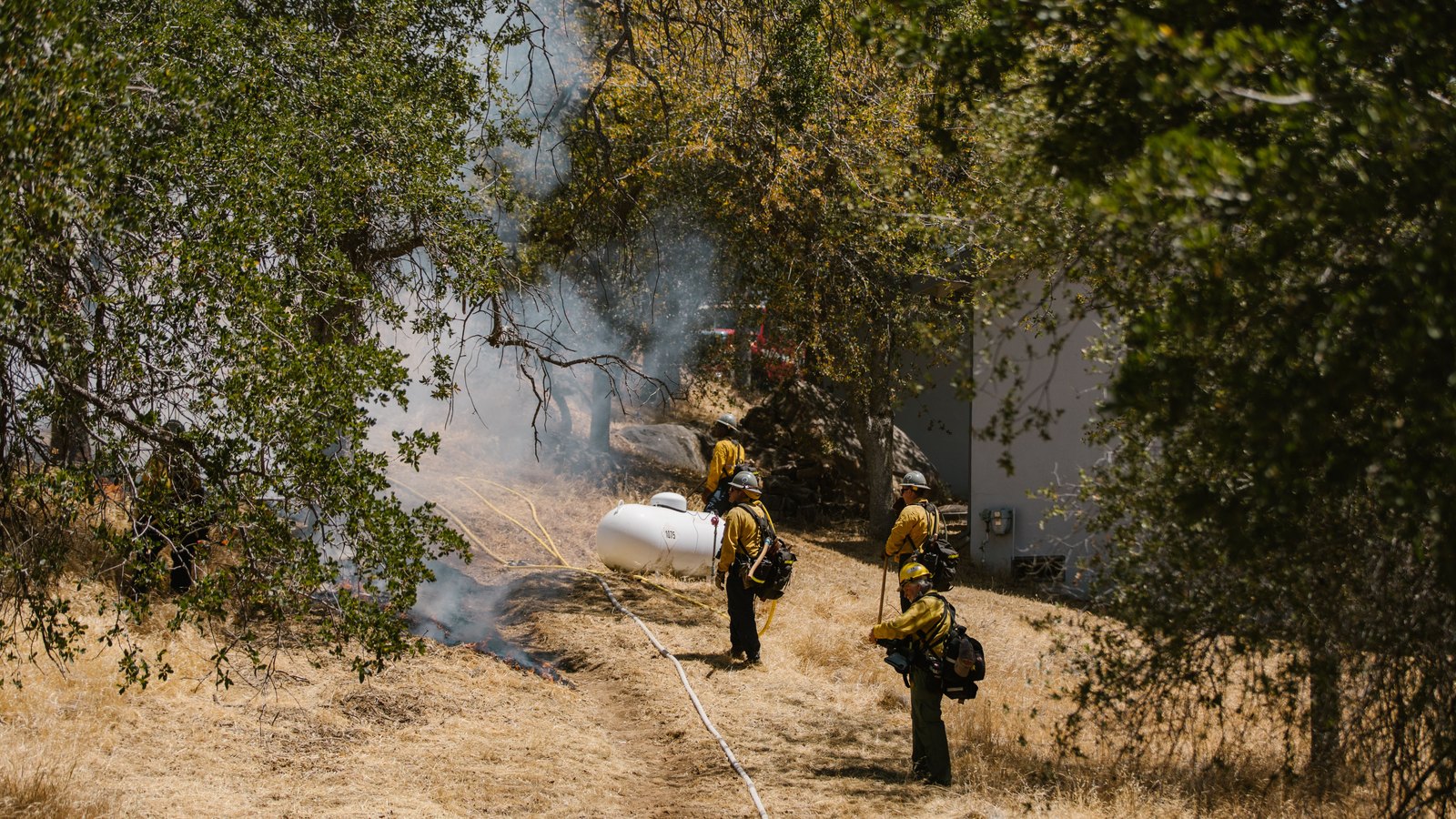 Four wildland firefighters in yellow protective shirts and green trousers stand on a dry grass slope under live oaks, a white hose line running down the track past a white tank and thin smoke drifting through the trees. No face is turned to the camera, and no unit number, plate, signage or lettering of any kind is legible in the frame. Stock photograph, not a photograph of this event.