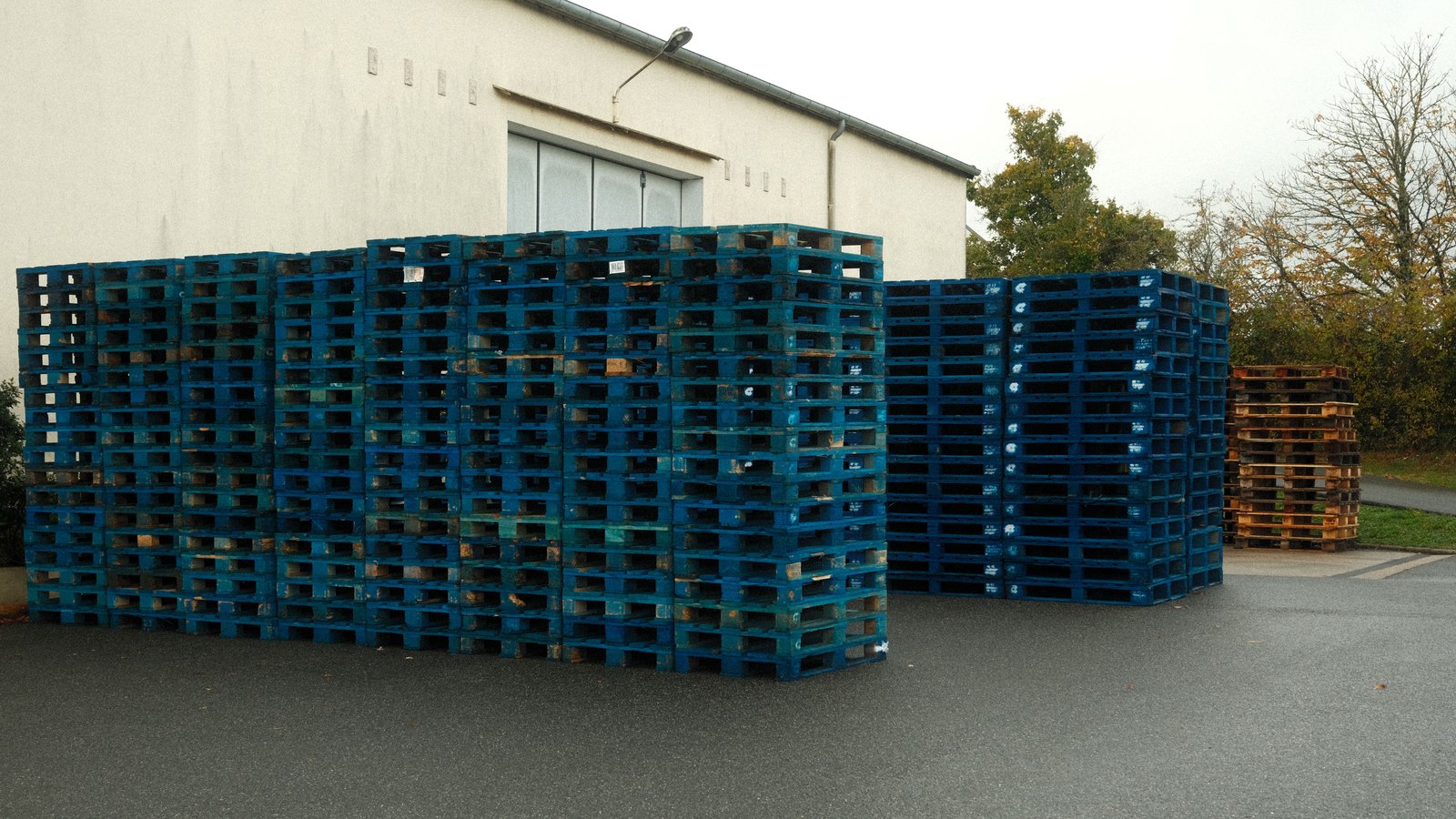 Tall stacks of blue shipping pallets in a paved yard outside a warehouse, with wooden pallets stacked at right.