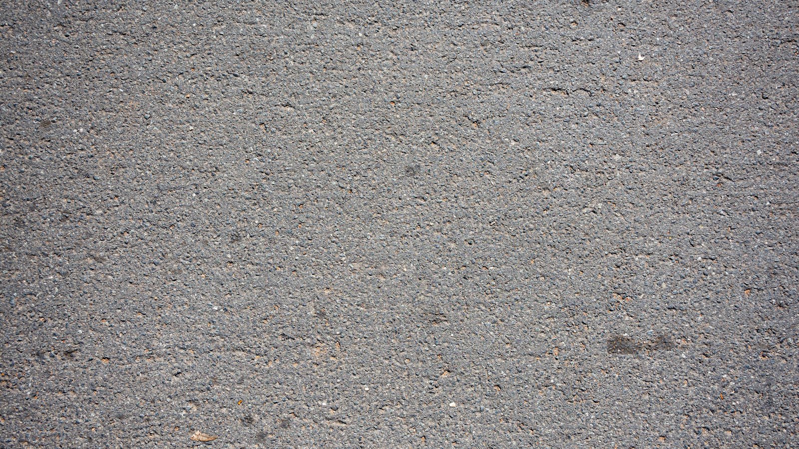 A flat expanse of grey concrete photographed straight on, its fine aggregate speckled with paler and darker grains.