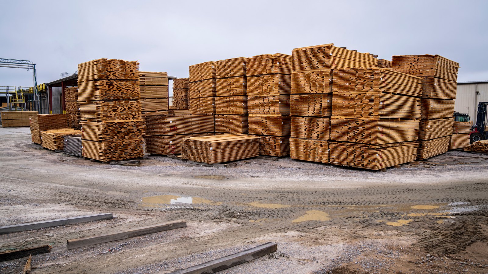 Stacks of construction lumber fill a storage yard.