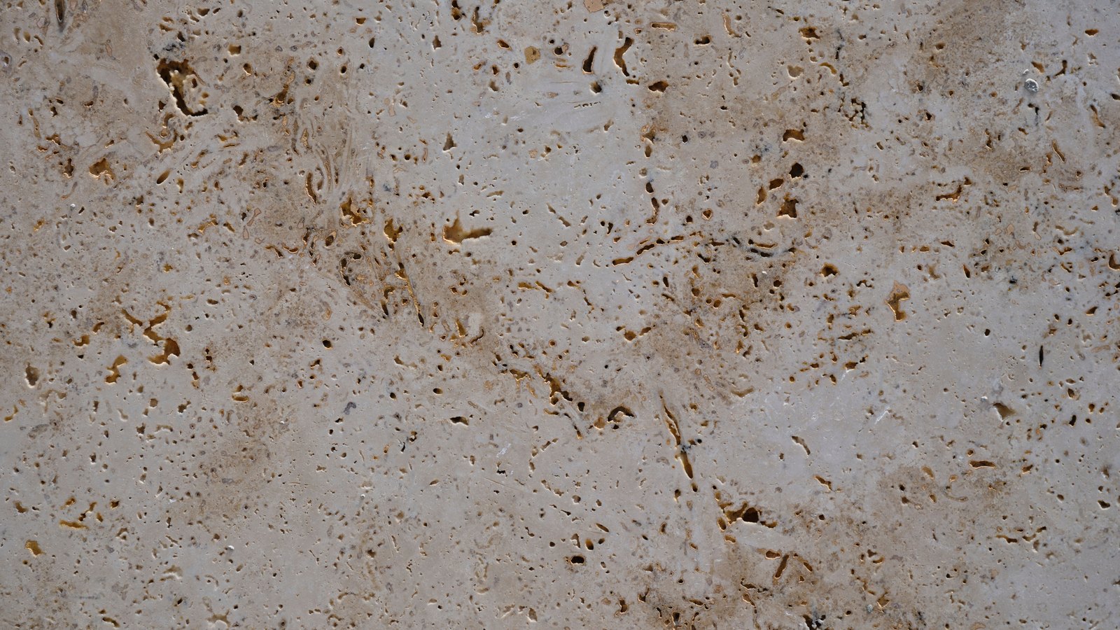 A close photograph of a pale buff stone surface filling the whole frame, pitted with small dark cavities and streaked with rust coloured mineral staining. No people, buildings, vehicles, product, text or lettering is visible, and no place can be identified from it.