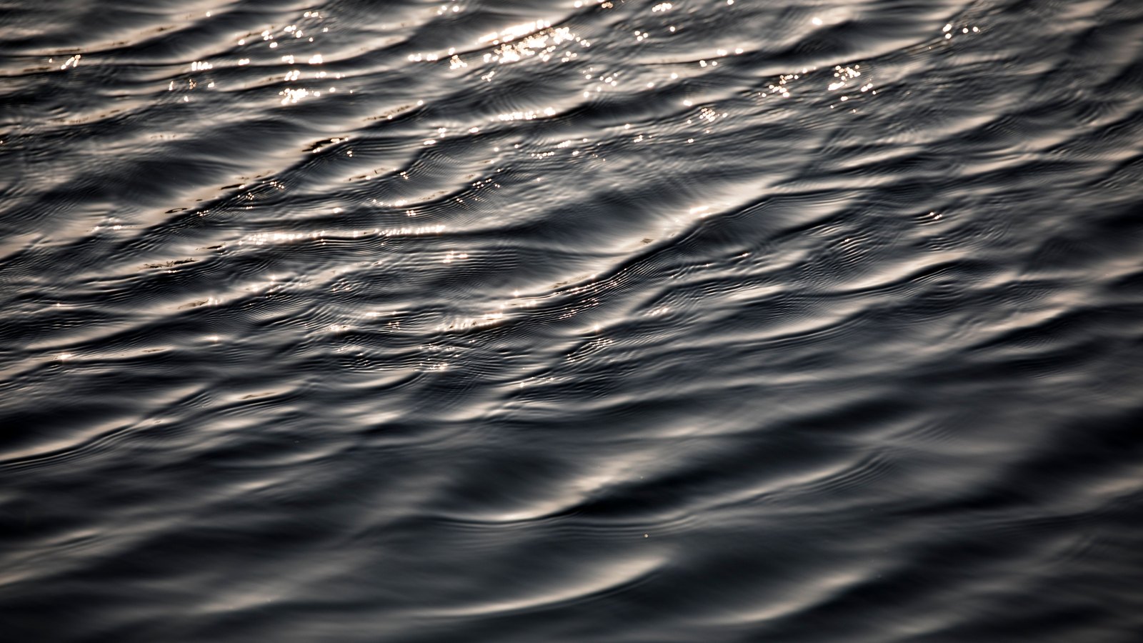Sunlight glints across the rippled surface of dark water.