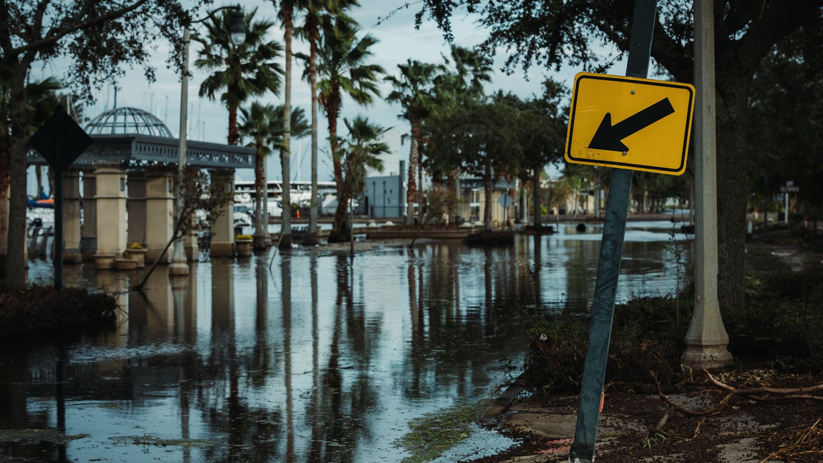 Floodwater covers a palm-lined street beside a marina, not a photograph of this incident.