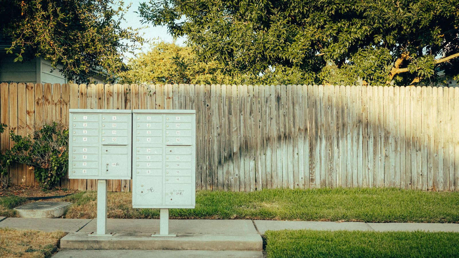 A cluster of residential mailboxes on a suburban street in front of a wooden fence.
