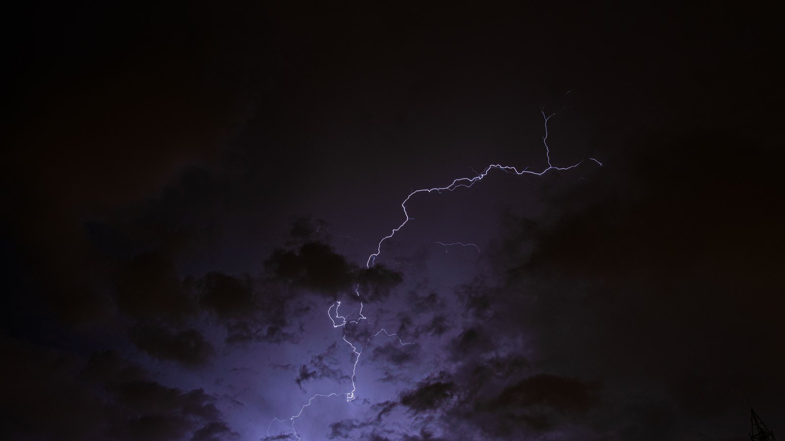 A forked bolt of lightning branching down through a dark night sky, with heavy storm cloud lit from within in purple and grey. No ground, building, vehicle, person, text or signage is visible in the frame. A generic illustration of a lightning storm, not a photograph of Cape Coral or of the trees that caught fire.