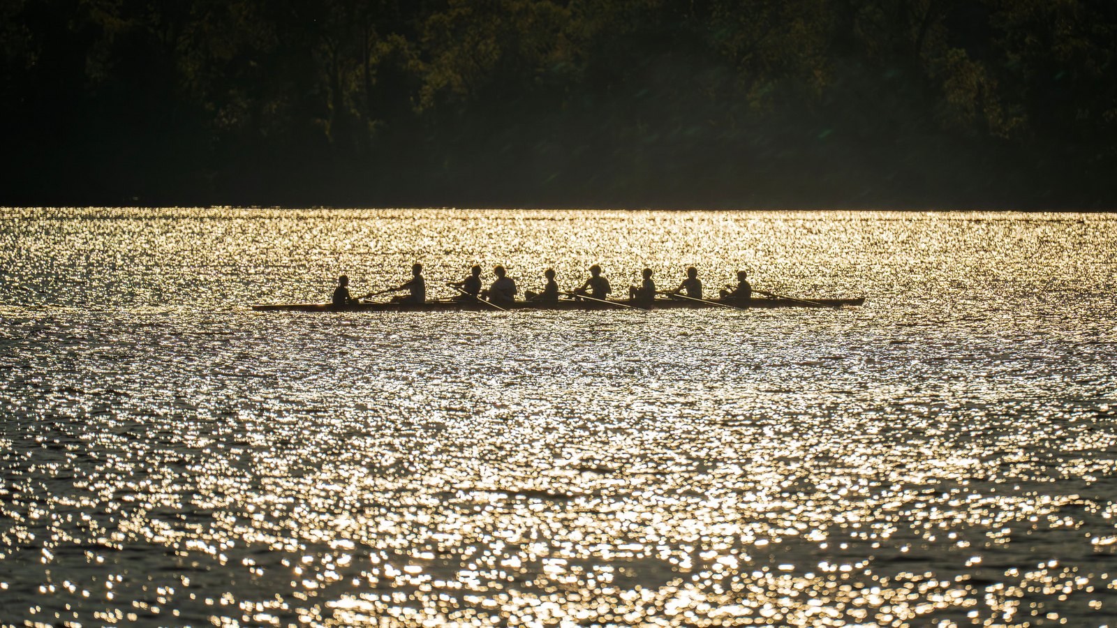 Eight rowers in silhouette pull a long racing shell across open water lit gold by a low sun, with a dark treeline behind them. Stock photo, not a photograph of this event.