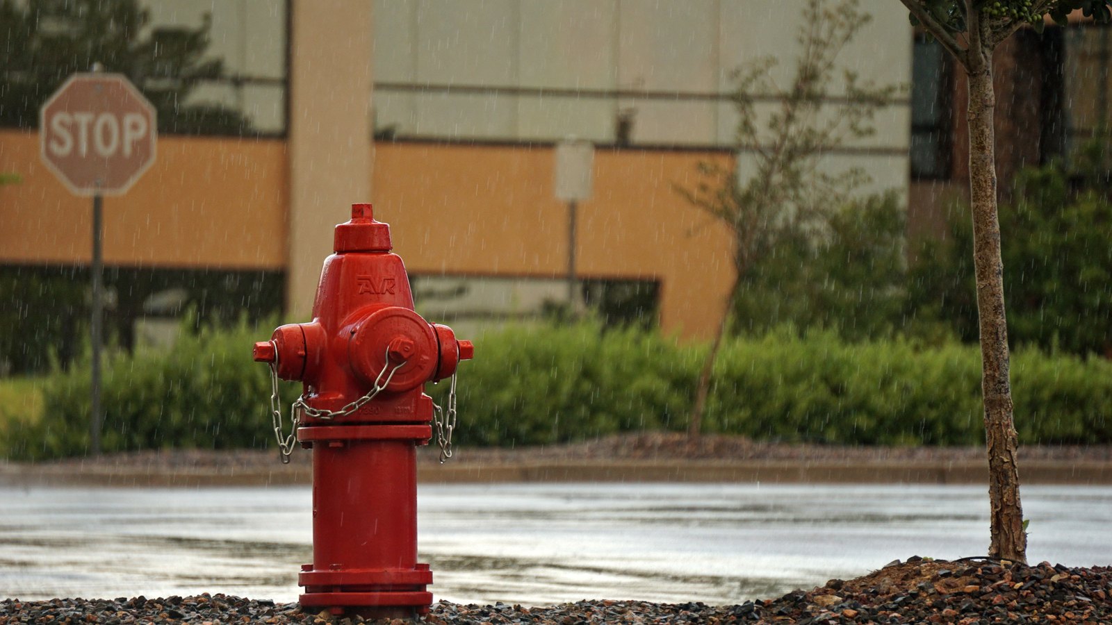 Red fire hydrant on a rainy street