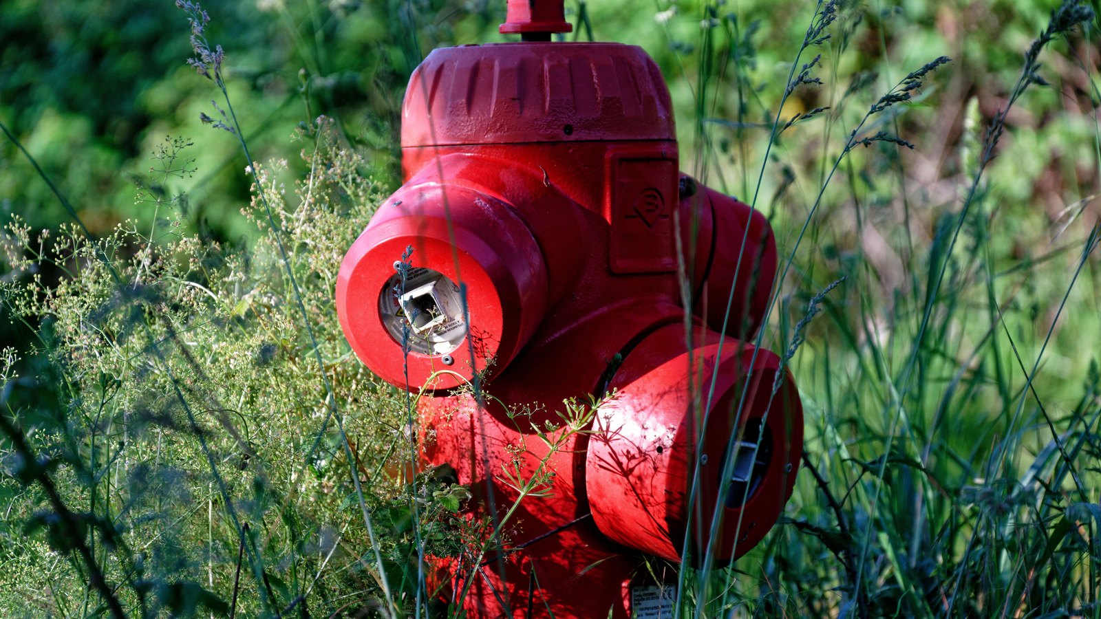 A red fire hydrant stands in tall green grass, not a photograph of any Cape Coral notice area.