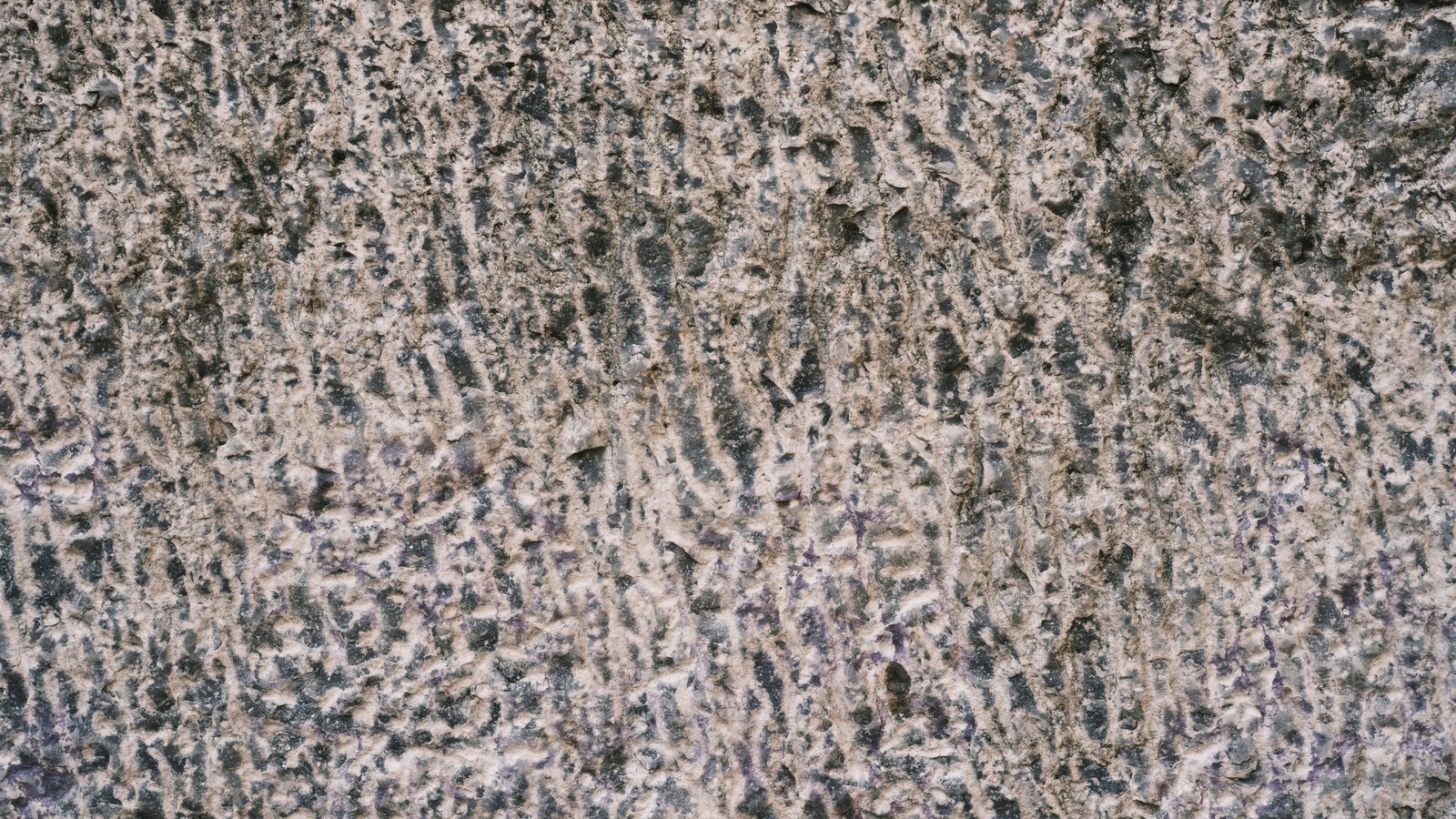 A full frame close crop of a rough cast concrete surface, pitted and flecked in grey, off white and dark shadow, filling the whole picture with no horizon and no edge in view. No text, signage, brand mark, vehicle, person or identifiable place is visible. A plain surface used as an illustration, not a photograph of Veterans Parkway, of the vehicle, or of this crash or its scene.