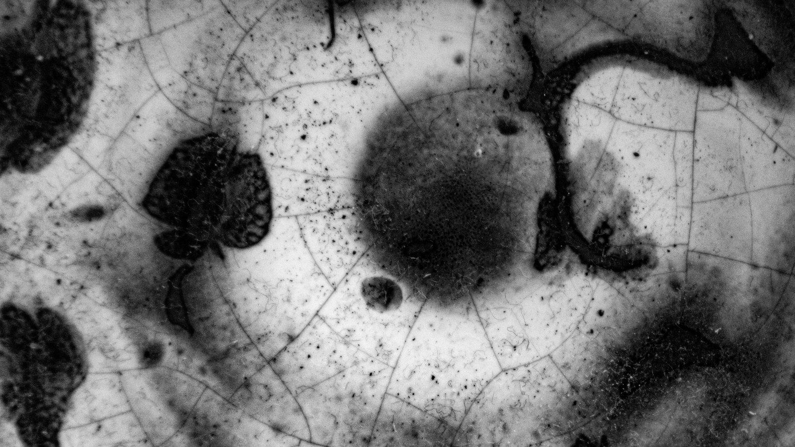 A close photograph in black and white of a crackle glazed ceramic surface filling the whole frame, a fine web of hairline cracks running across a pale mottled glaze that darkens into several soft charcoal patches. No text, markings, brand marks, people or recognisable objects are in view. A generic material close-up, not a photograph of any exchange, fund, product or document.