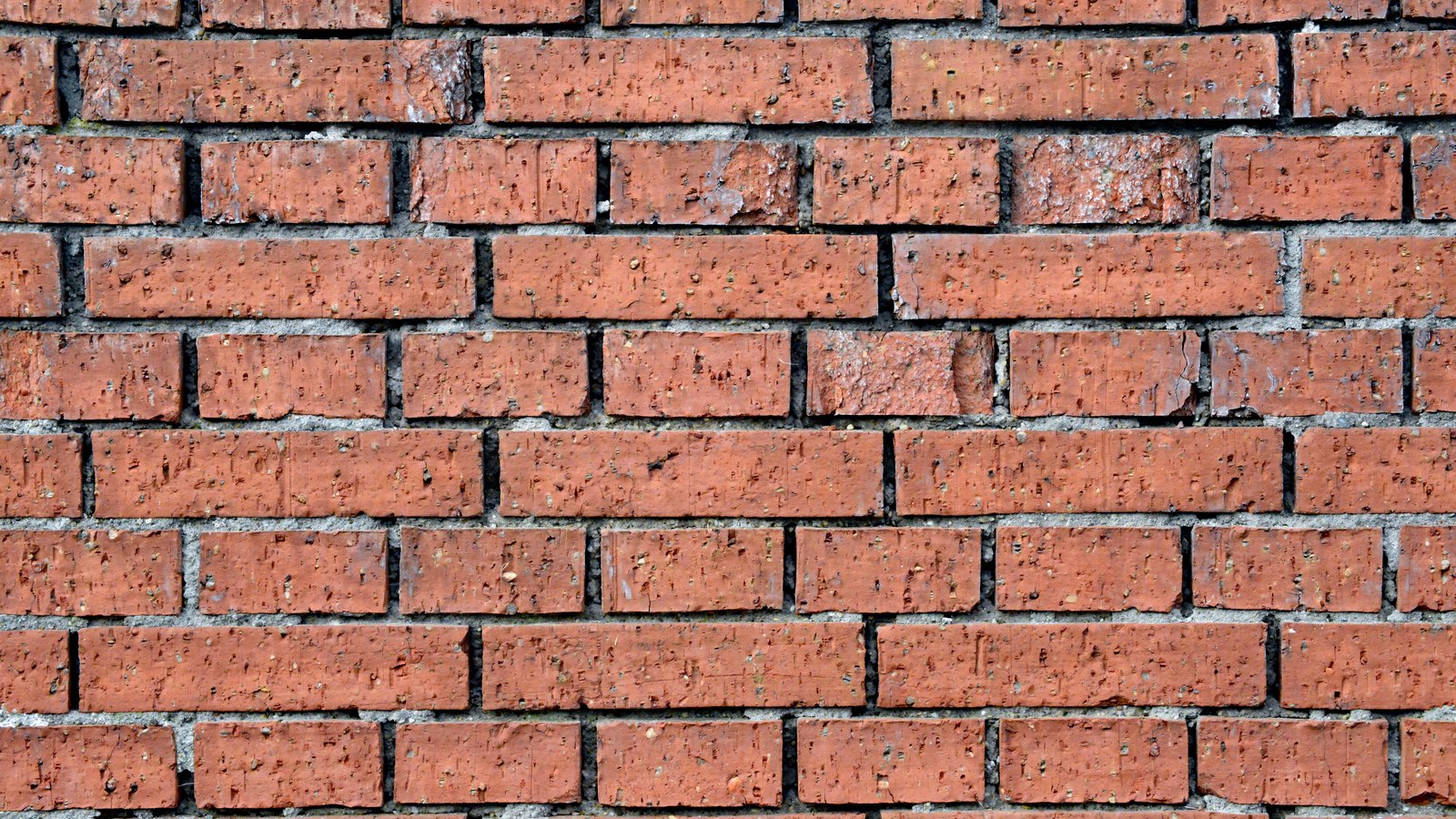 A red clay brick wall photographed square on and filling the whole frame, the bricks laid in a running bond with pale grey mortar between the courses. The faces are pitted and flecked, several are chipped along their edges and a few carry pale patches of salt bloom. No text, brand mark, person or place is in view.