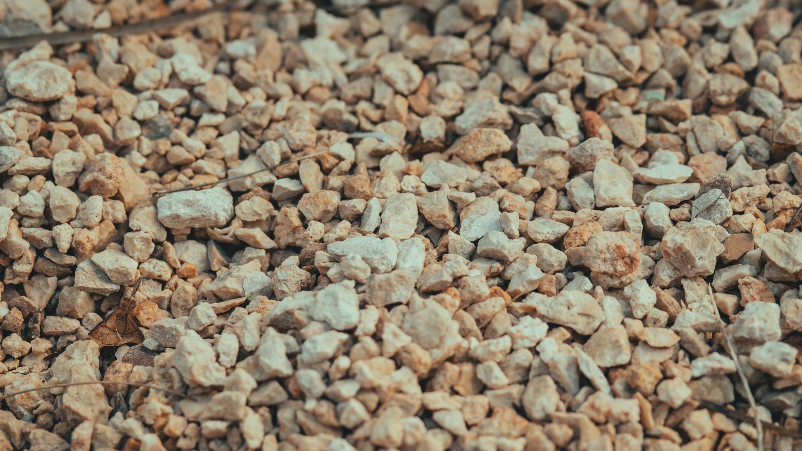 An overhead macro of crushed pale limestone chippings packed edge to edge, warm beige and tan in colour, with a few dry twigs and a single dead leaf lying among the angular fragments.