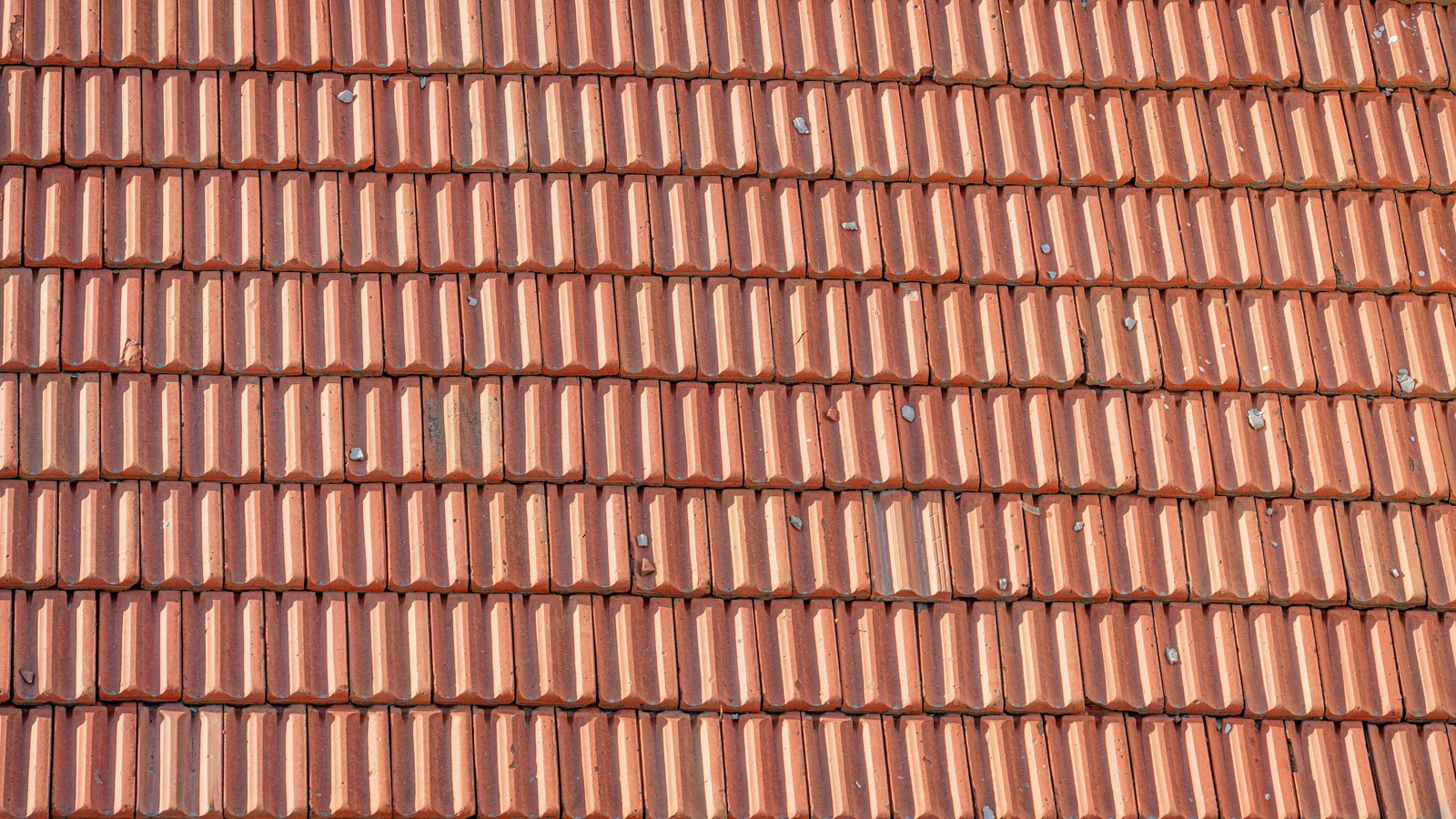 Rows of interlocking terracotta clay roof tiles filling the whole frame, their raised ribs catching low light from the left, with small pale flecks of grit scattered across the surface. No text, markings, people or buildings are in view.