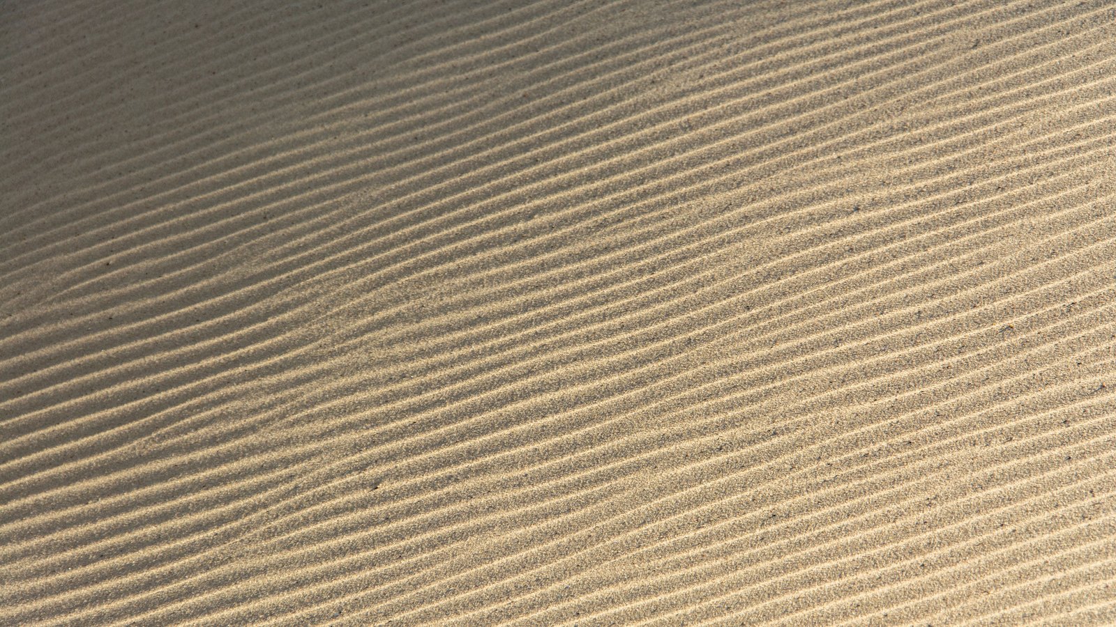 Fine parallel ripples in dry pale sand run diagonally across the whole frame, the crests catching low light and the troughs holding shadow, with individual grains and a few darker specks visible. No text, brand mark, person, horizon or landmark is in view.