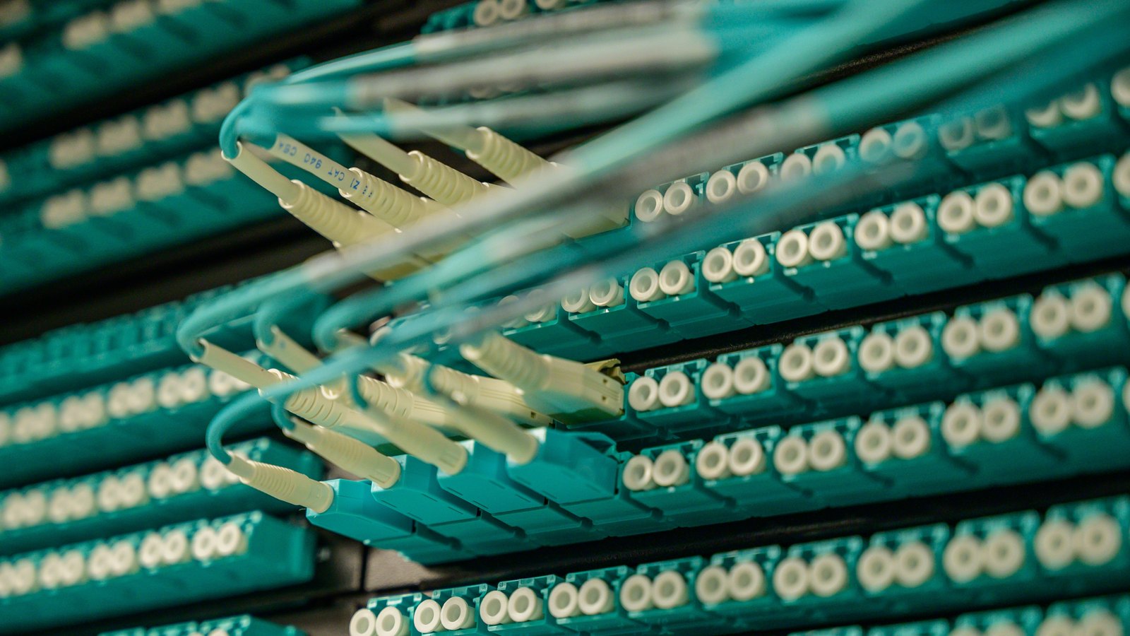 A photograph illustrating server rack cabling.
