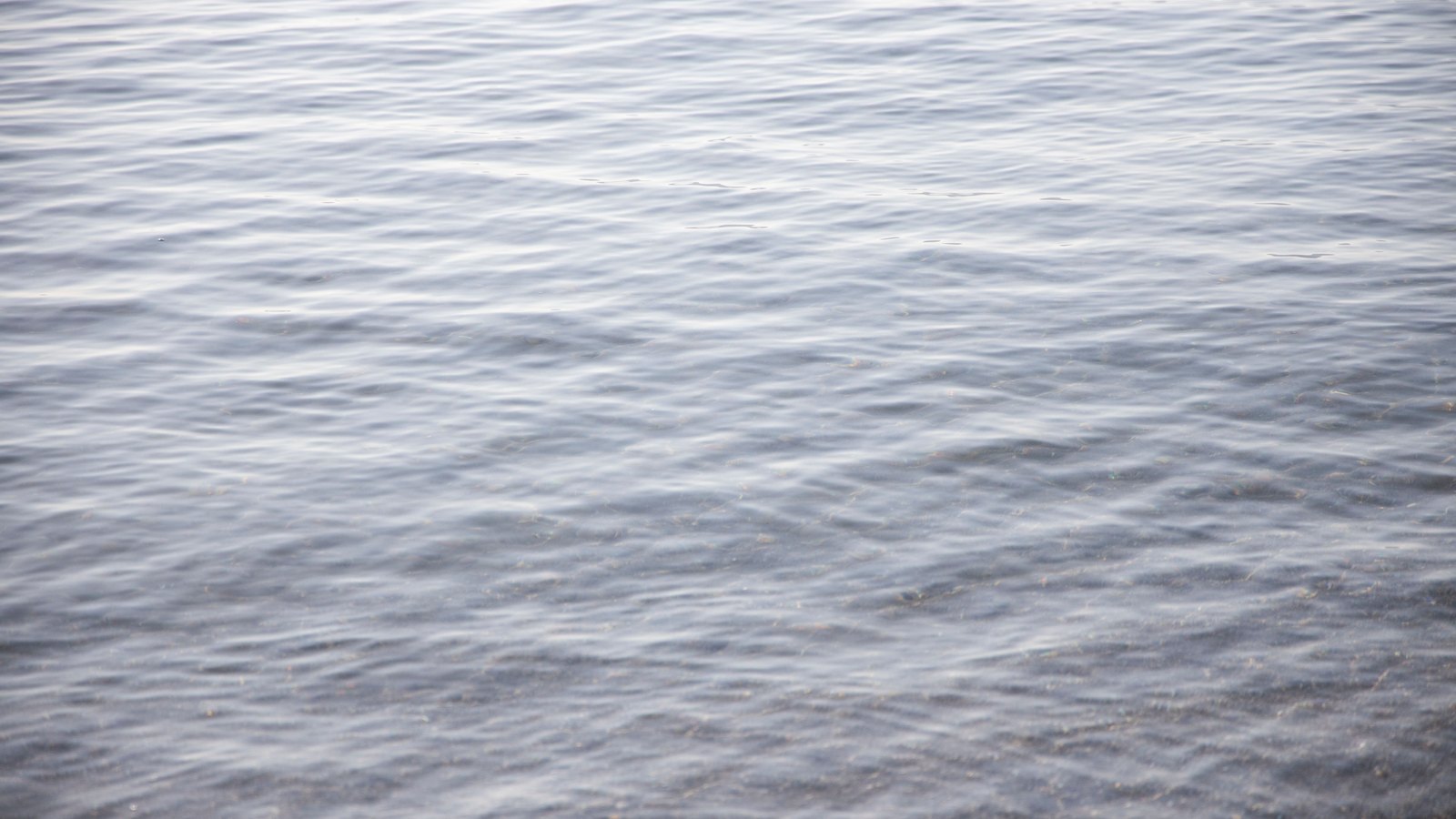 A plain expanse of pale grey open water filling the whole frame, covered in fine close ripples that soften towards the top of the picture. There is no horizon, no shoreline, no sky and no vessel, and no text, marking or person is in view.