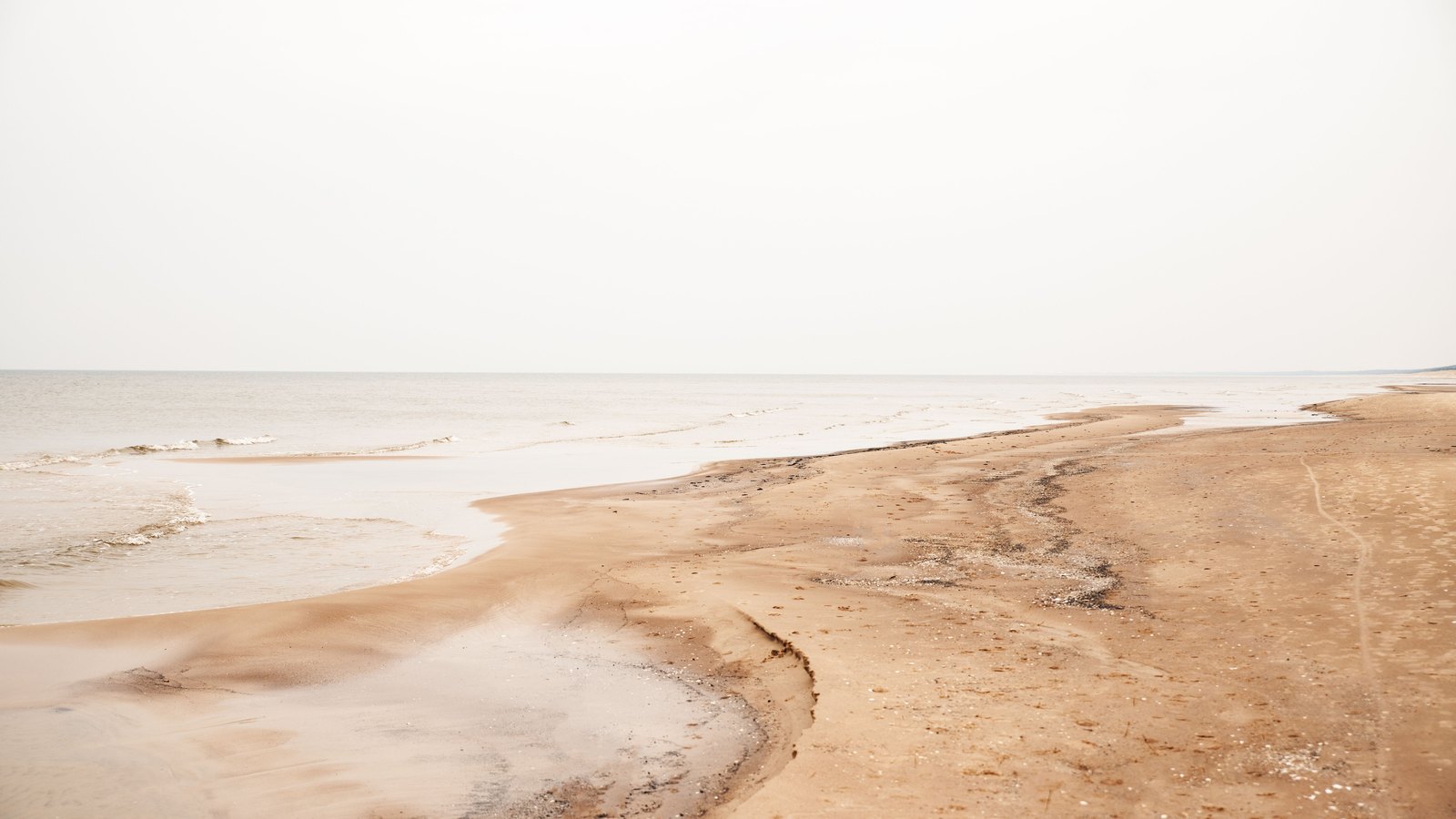 An empty stretch of pale sand meeting shallow water under a flat white overcast sky, the shoreline curving away toward a low horizon, with no people, buildings, vehicles, signs or text in view. A generic illustration, not a photograph of a Lee County beach.