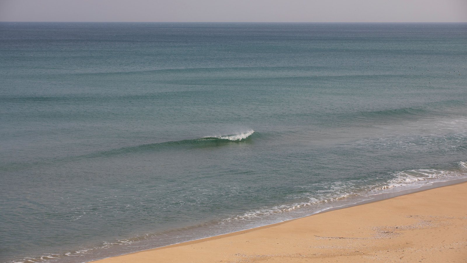 A small wave breaking in shallow green water off a bare strip of pale sand, photographed from above and behind the shoreline, with open sea running flat to a hazy horizon. No people, buildings, boats, signage or legible text are in view, and no place is identifiable. A generic illustration of surf, not a photograph of Fort Myers Beach or of any Lee County beach.
