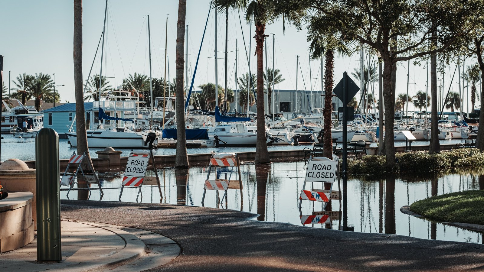 Floodwater covers a palm-lined marina access road behind generic road-closed signs, with distant unidentifiable figures, not a photograph of this event.