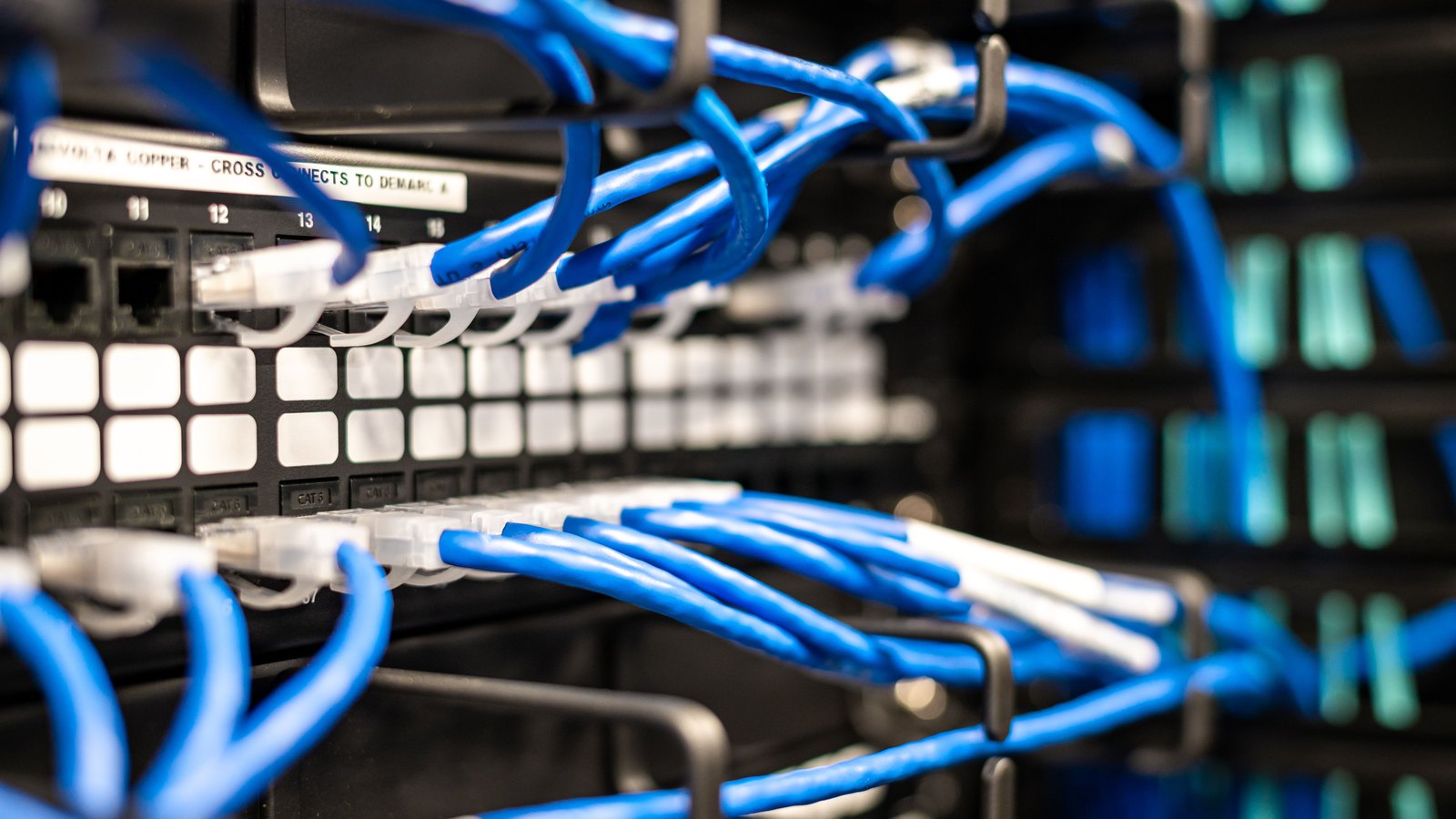 Blue network patch cables curving into a numbered patch panel in an equipment rack, with further cabling and indicator lights out of focus behind.