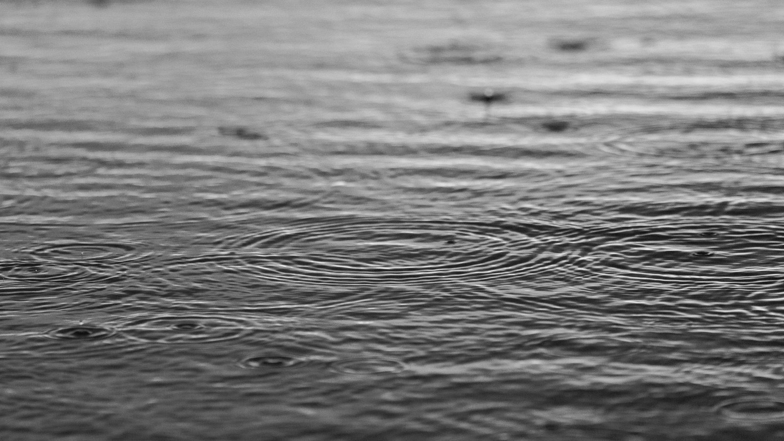 A close photograph in black and white of raindrops striking the surface of standing water, each drop leaving a spreading ring, with the far edge of the water out of focus. No signage, lettering or place name is in the frame. A generic illustration, not a photograph of Collier County.