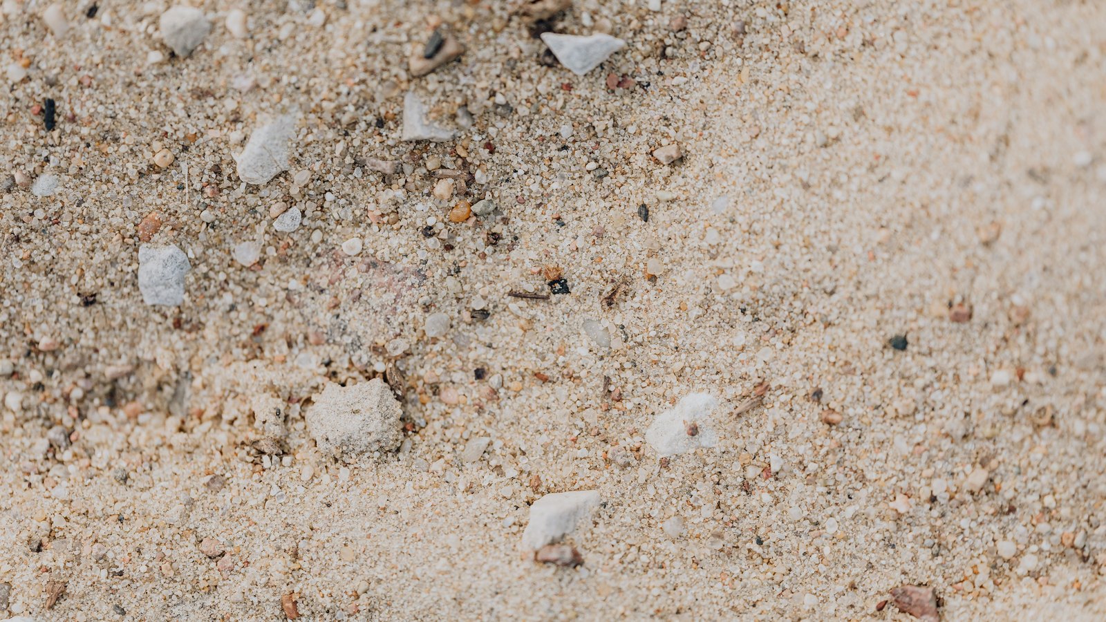 Close-up of pale coarse beach sand filling the whole frame, with small grey and white pebbles and broken shell fragments scattered through the fine grains. No text, no logo, no person, no building and no identifiable place appears in the image.