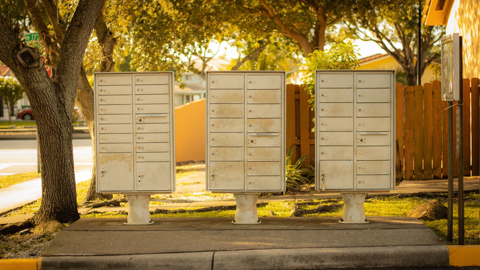 Three weathered cream cluster mailbox units standing side by side on a concrete pad beside a residential street, under low warm sunlight, with a wooden fence, oaks and palms behind them and no people in view. Illustrative only, not a photograph of this event.