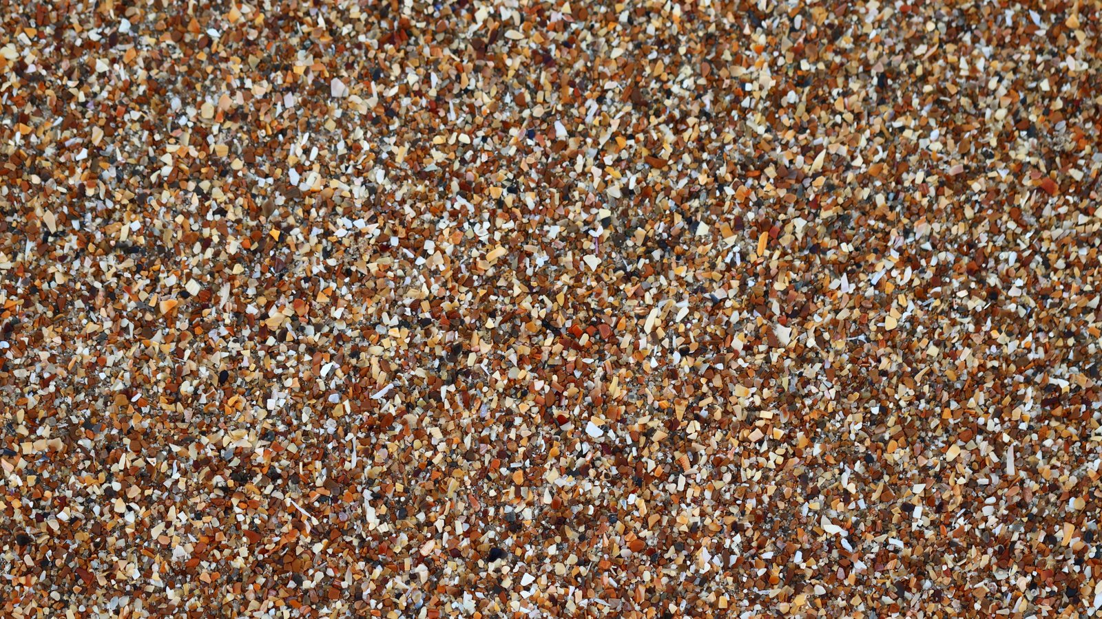 A photograph illustrating dense pattern of small overlapping pale scales across a pine cone surface macro.