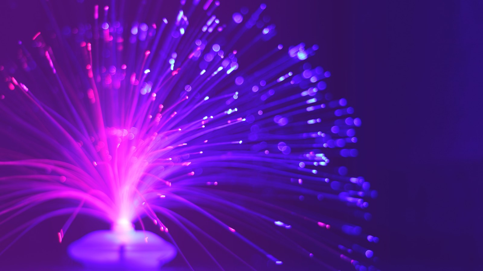 A photograph illustrating fiber optic strands macro.