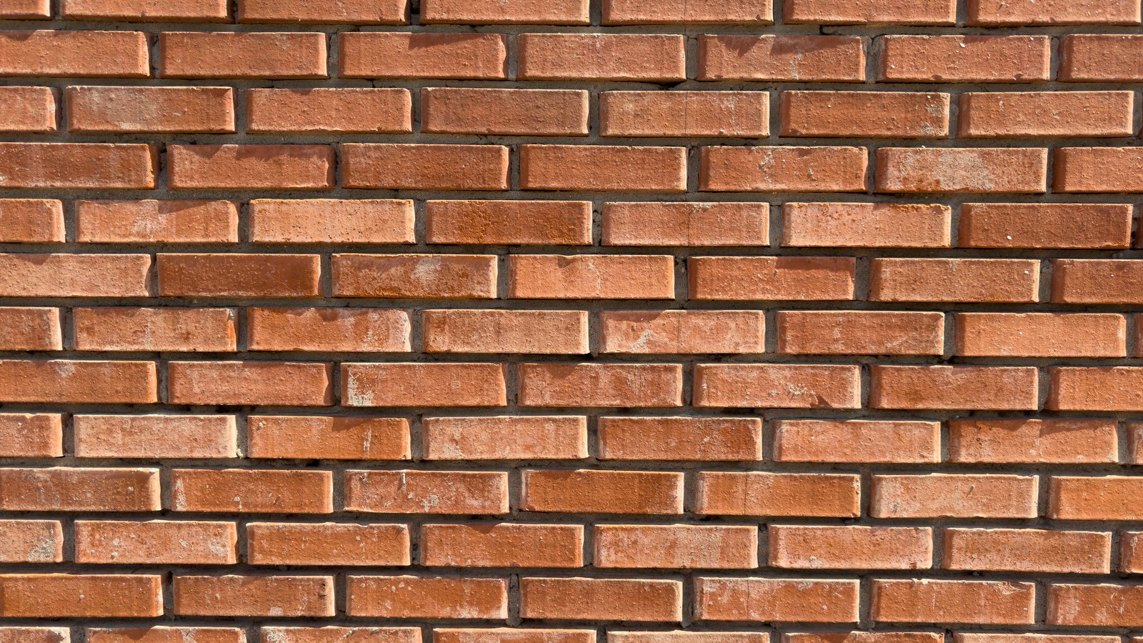 A flat red brick wall in running bond filling the frame in direct sunlight, the bricks varying from pale orange to deep rust with dark grey mortar joints between them, and no window, sign or lettering anywhere in the picture.
