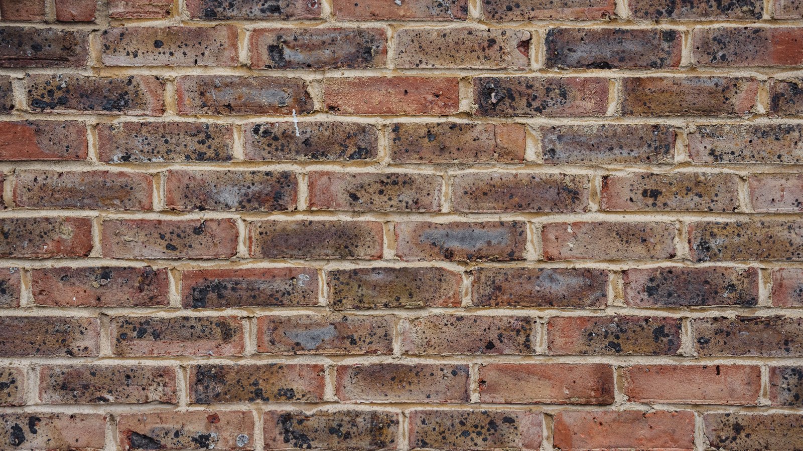 A straight-on view of an old fired brick wall filling the frame, the bricks laid in even courses in shades of red, brown and grey with pale lime mortar joints, many of the faces flecked with dark iron spots.