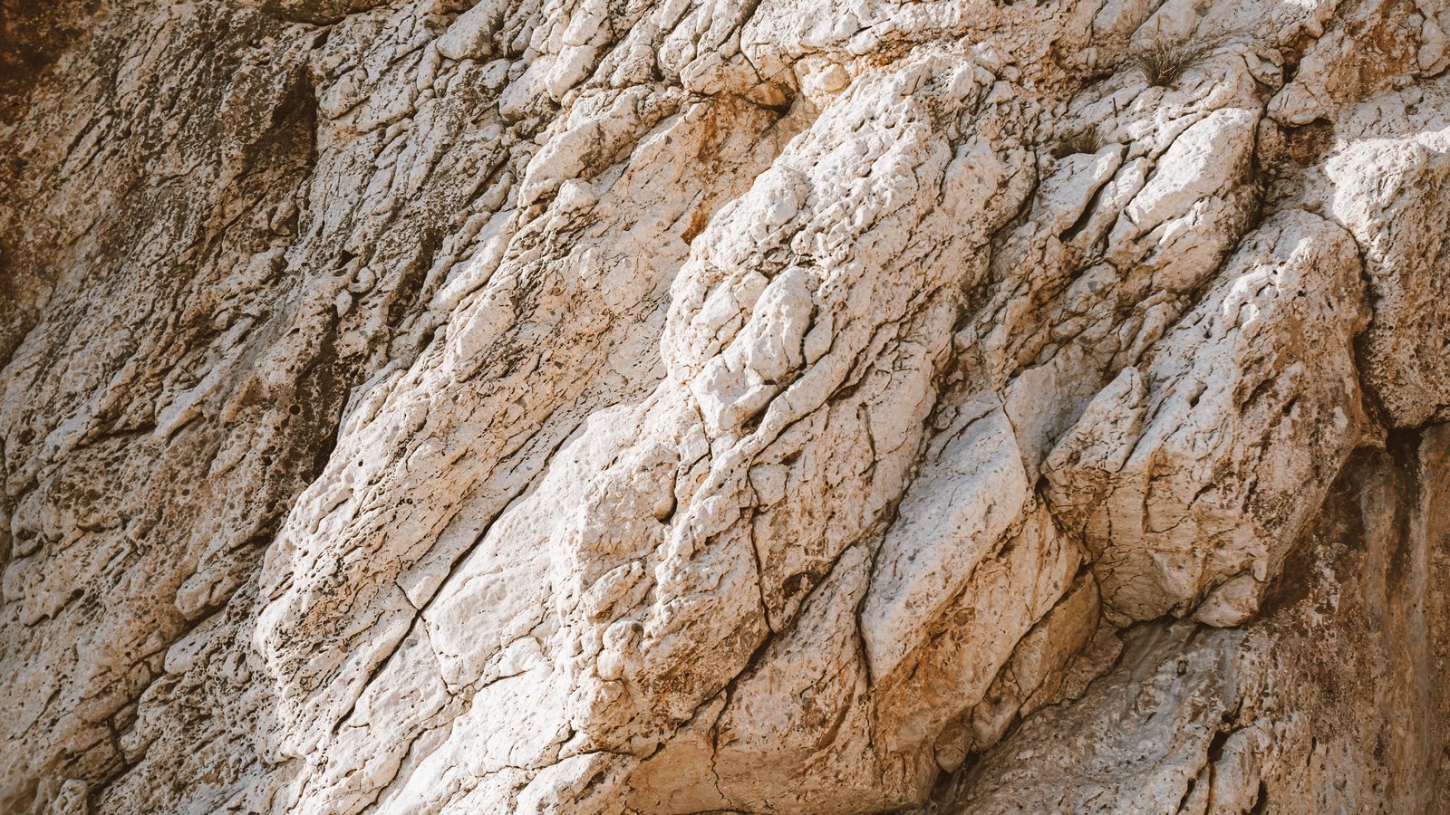 A pale limestone rock face photographed close up and filling the frame. Broken blocky ledges run diagonally across the picture, cream and white where the light catches them and rust brown in the crevices, with small pits and cracks across the surface. No lettering, markings or objects are visible.